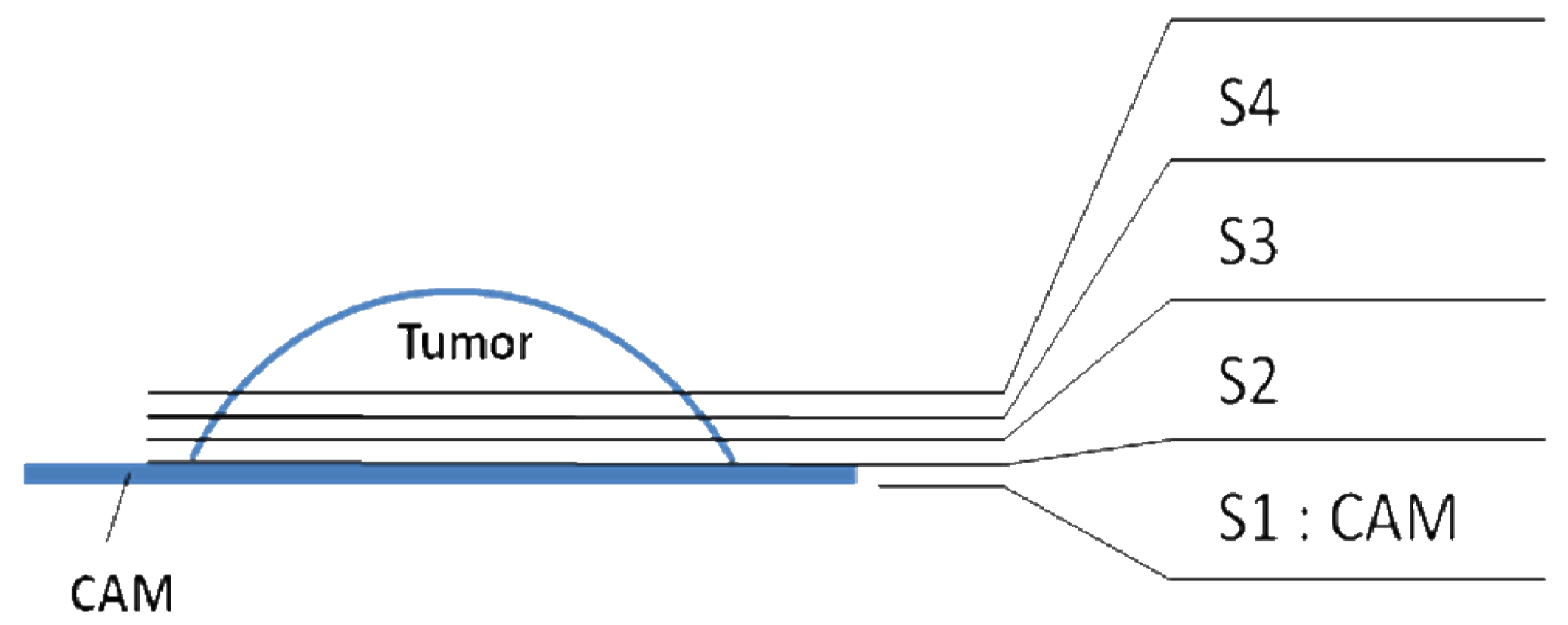 Pharmaceutics 03 00088f6 1024