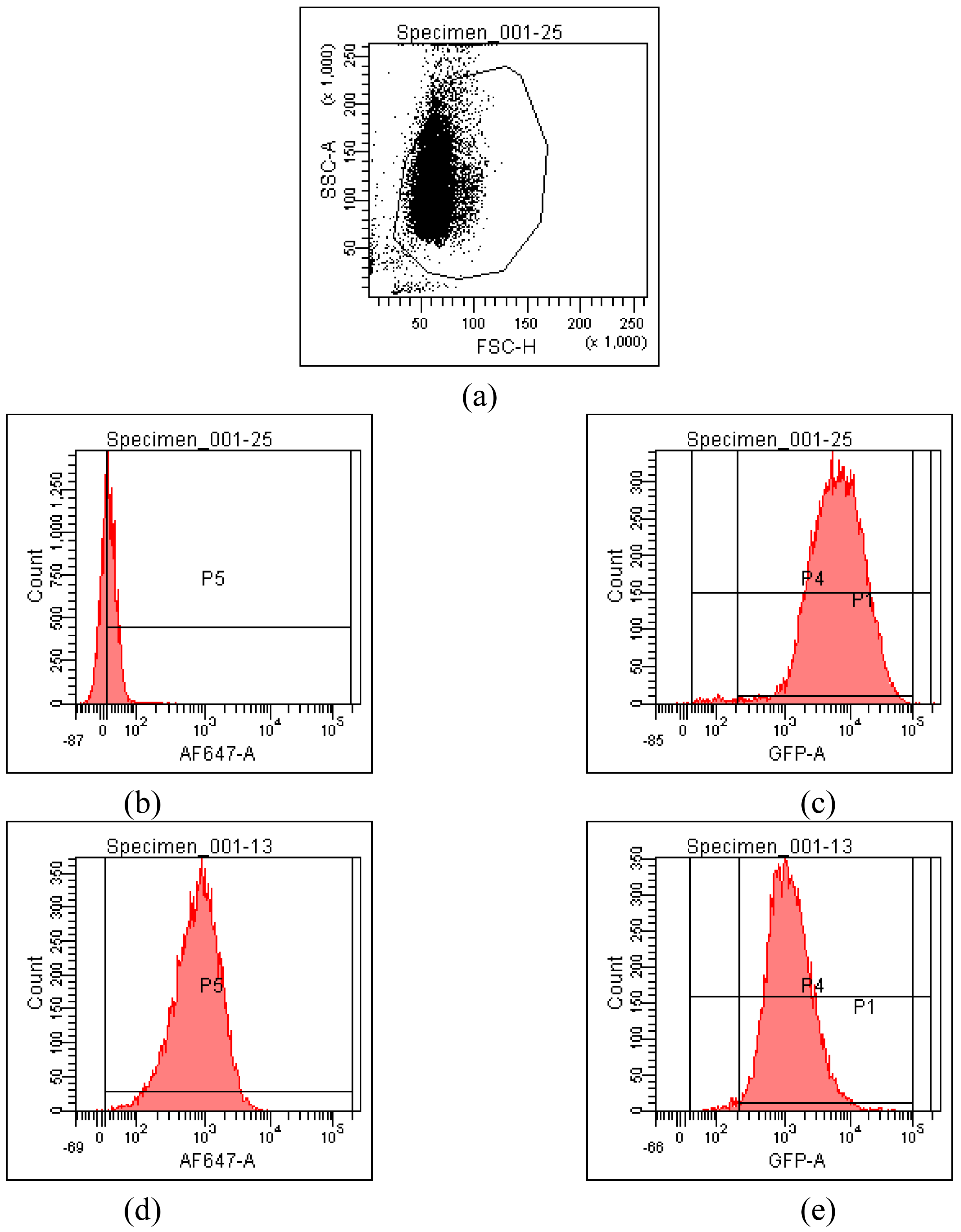 Pharmaceutics 03 00125f2 1024