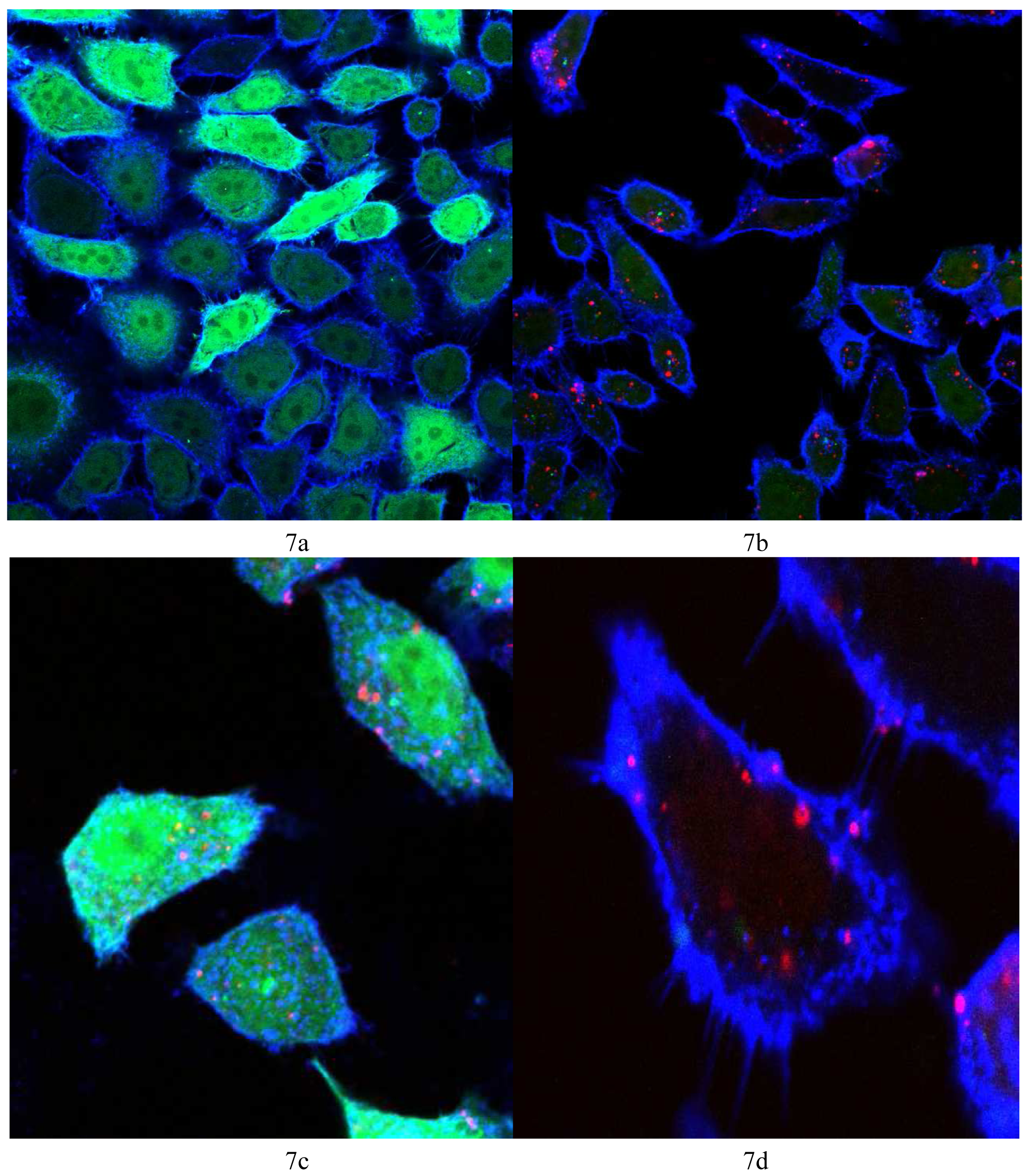 Pharmaceutics 03 00125f7 1024