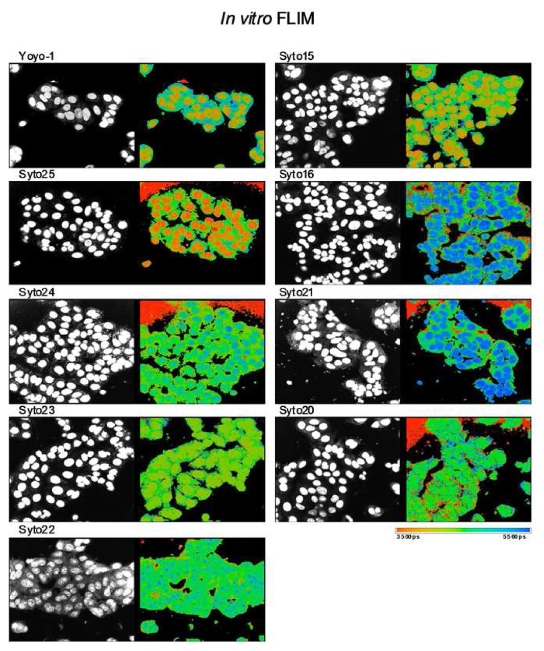 Pharmaceutics 03 00141f4 1024