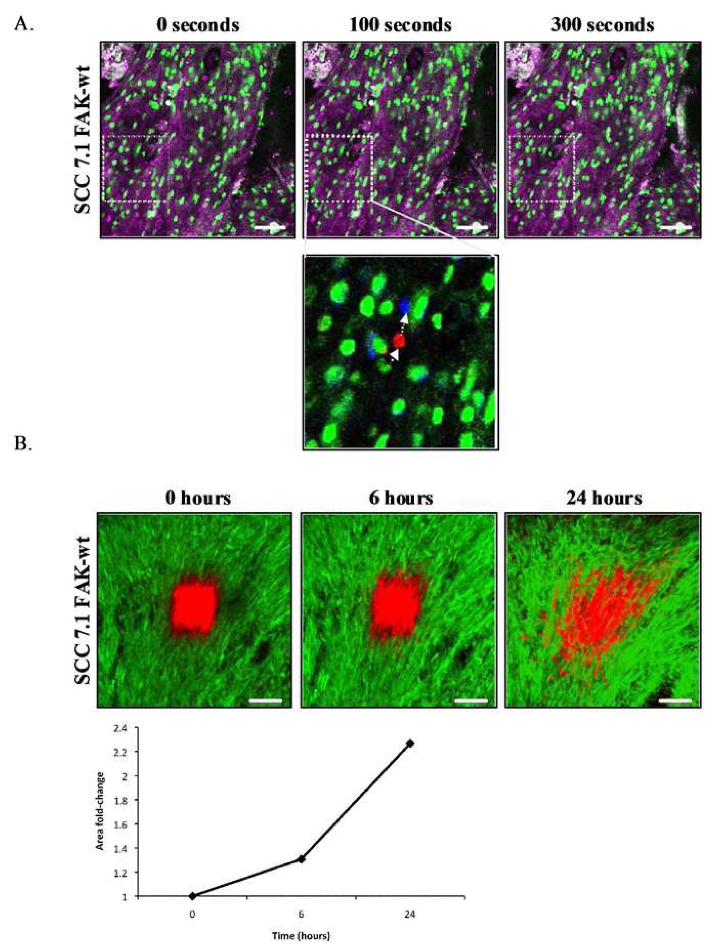 Pharmaceutics 03 00141f7 1024
