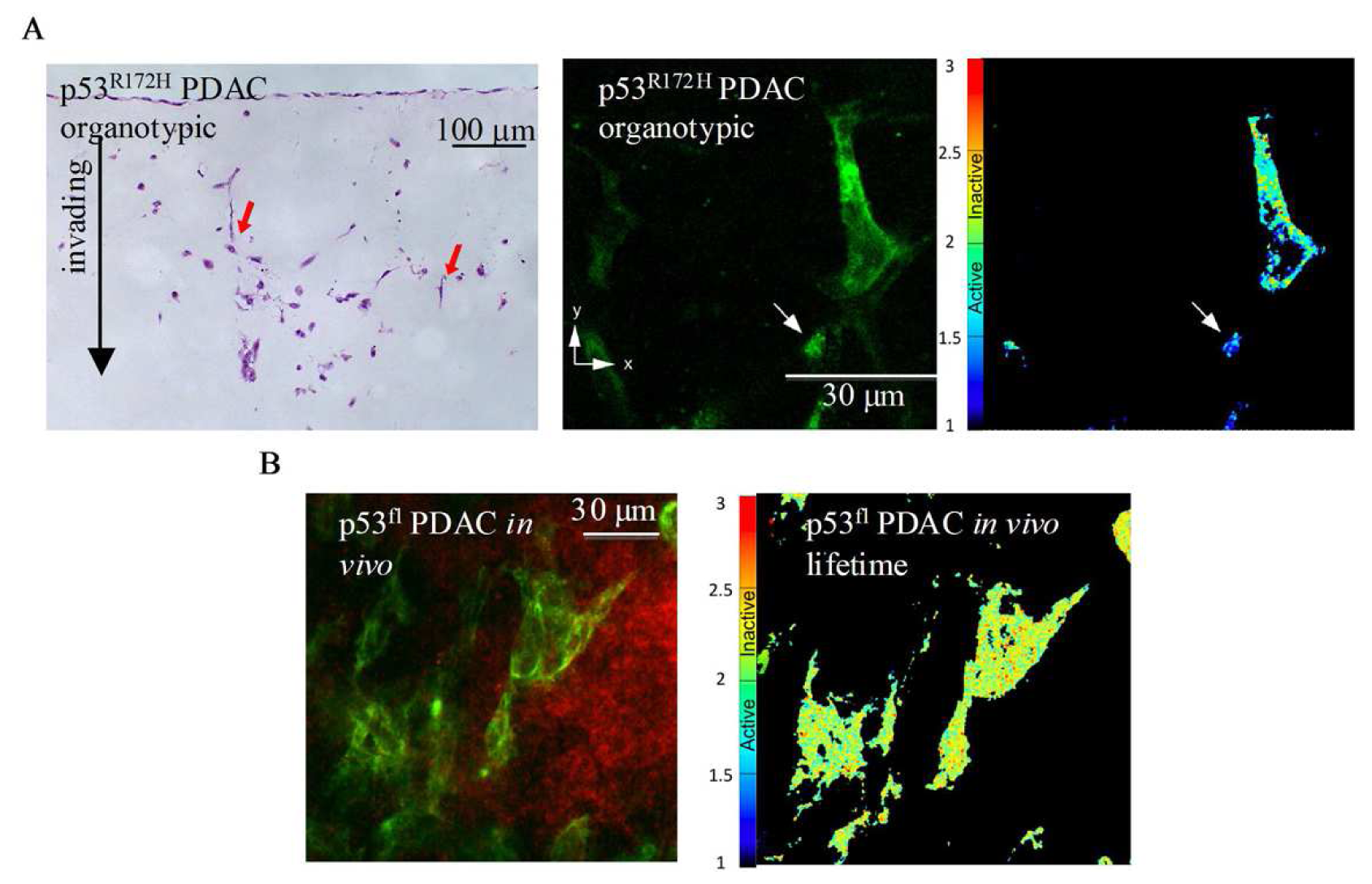 Pharmaceutics 03 00141f8 1024