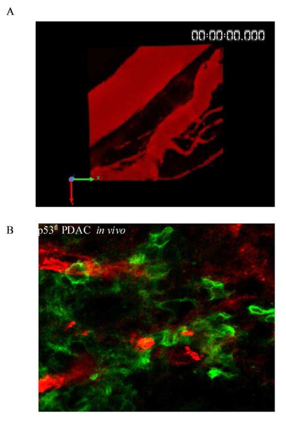 Pharmaceutics 03 00141f9 1024