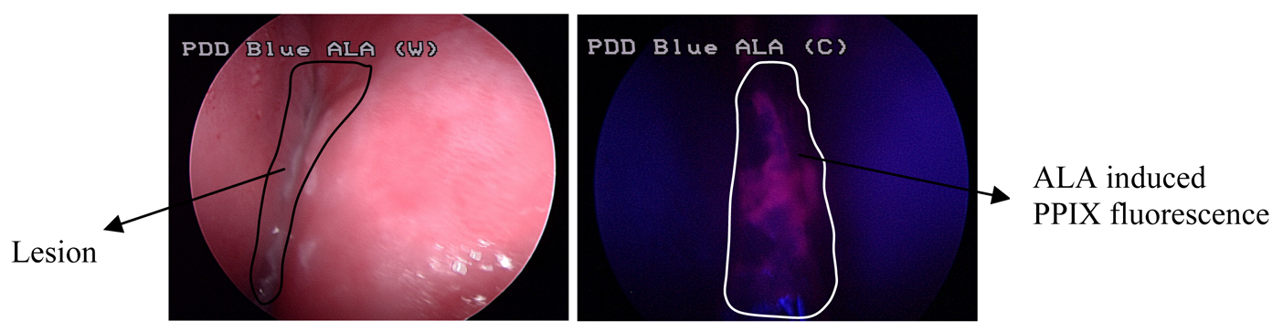Pharmaceutics 03 00354f2 1024