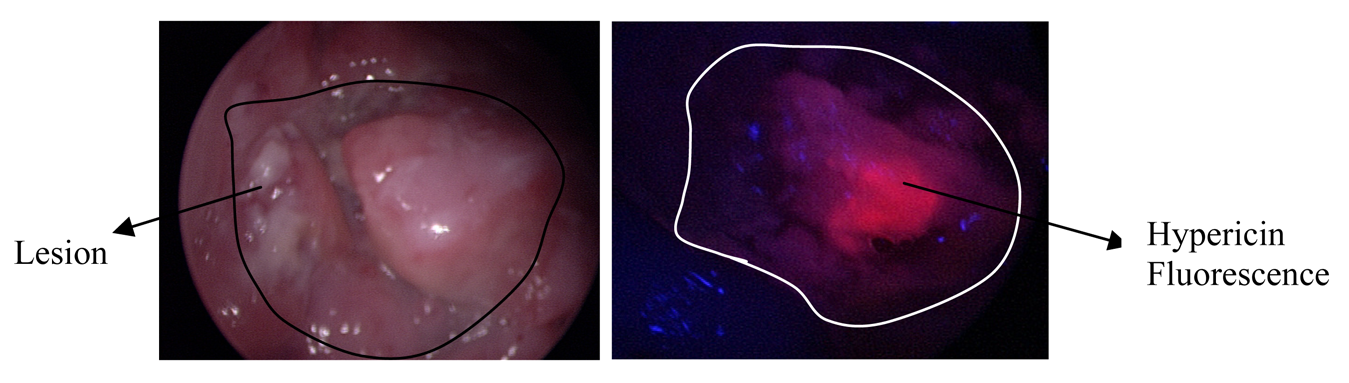 Pharmaceutics 03 00354f3 1024
