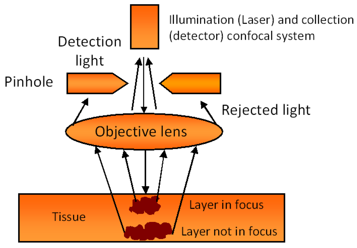 Pharmaceutics 03 00354f4 1024