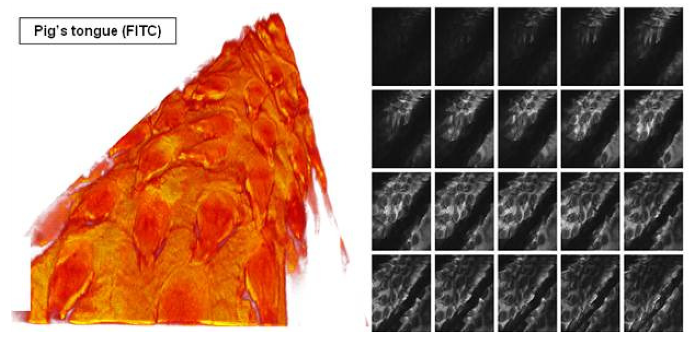 Pharmaceutics 03 00354f5 1024