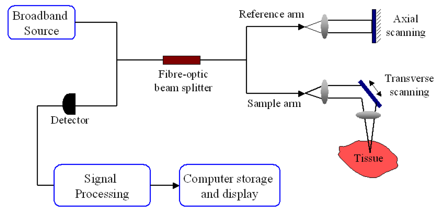 Pharmaceutics 03 00354f7 1024