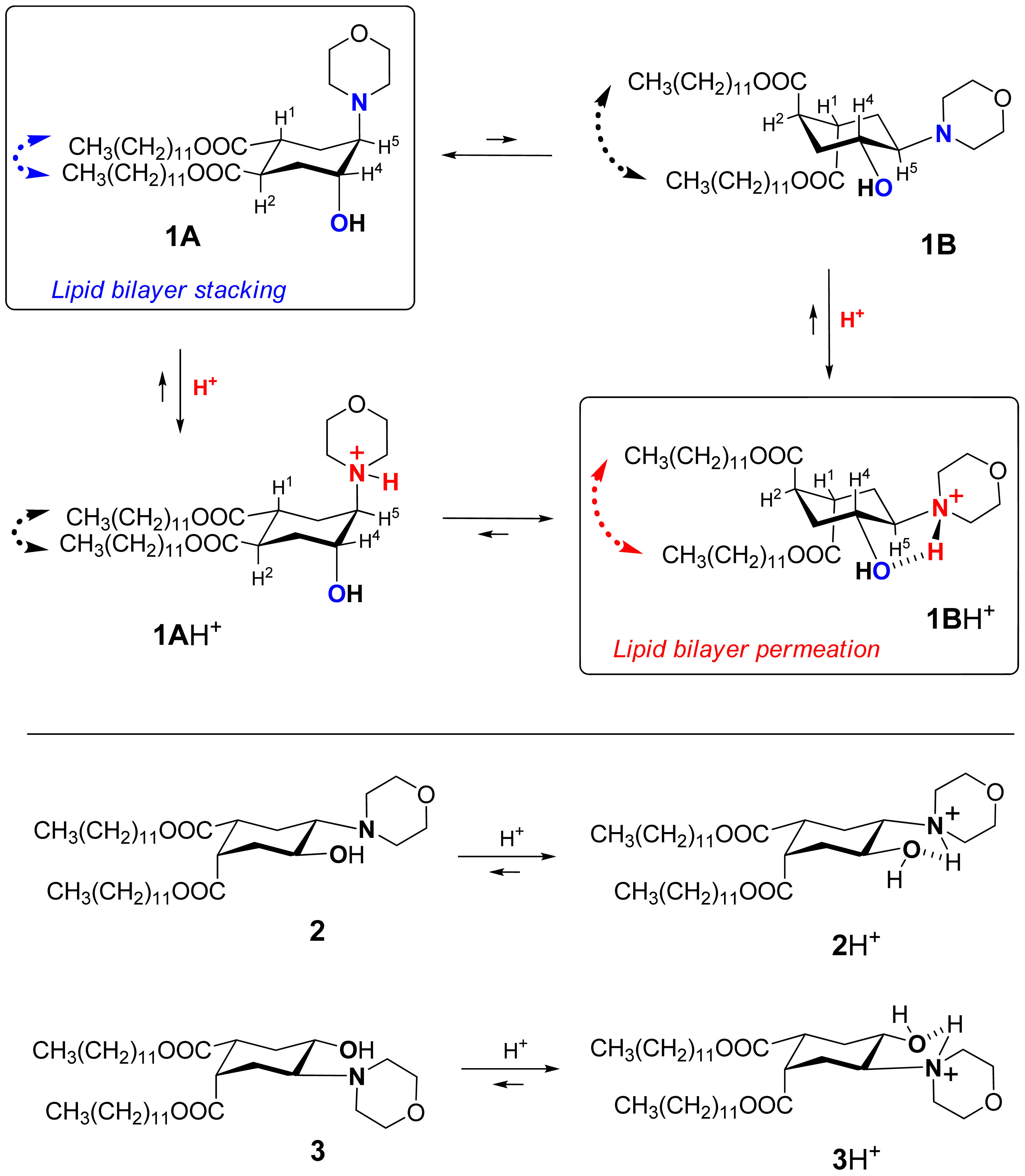 Pharmaceutics 03 00379f1 1024