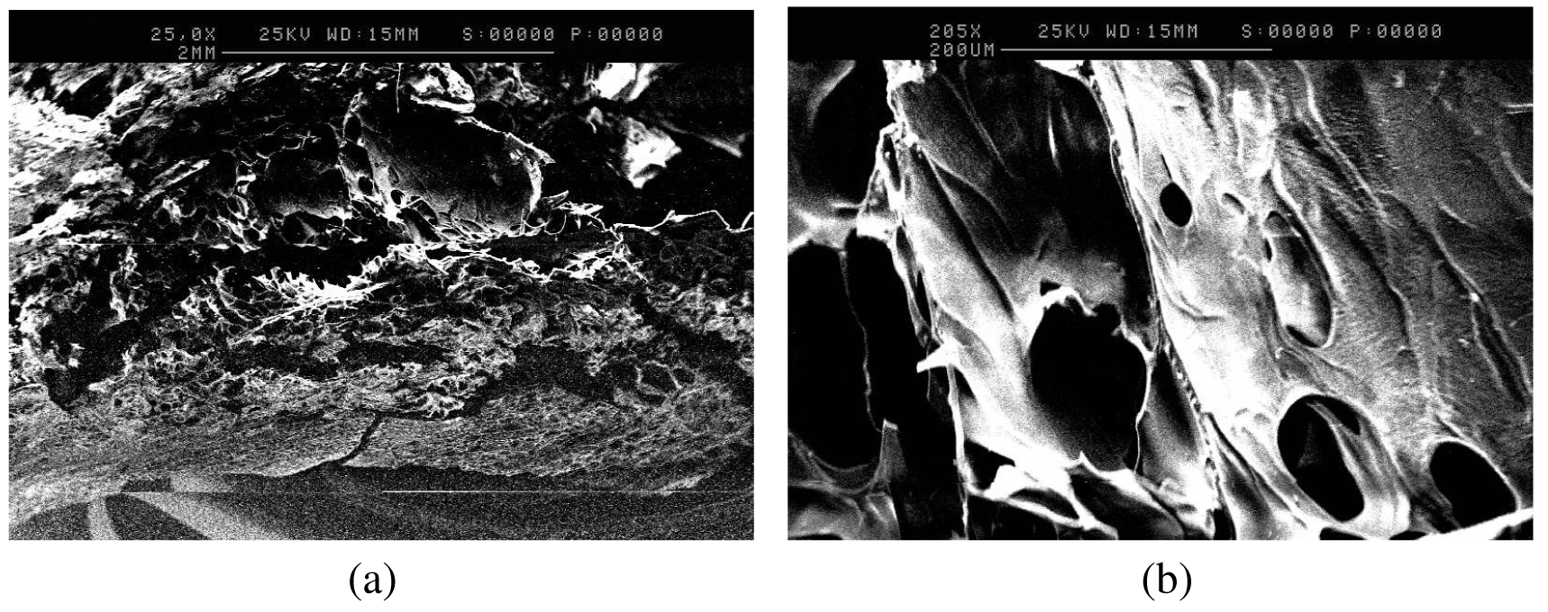 Pharmaceutics 03 00440f5 1024