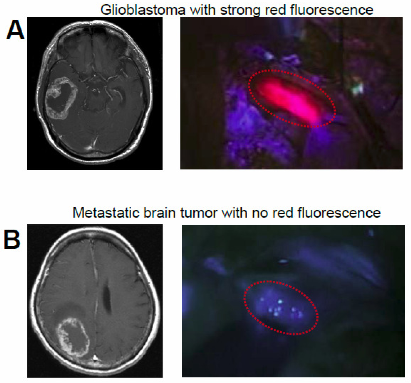 Pharmaceutics 03 00615f2 1024