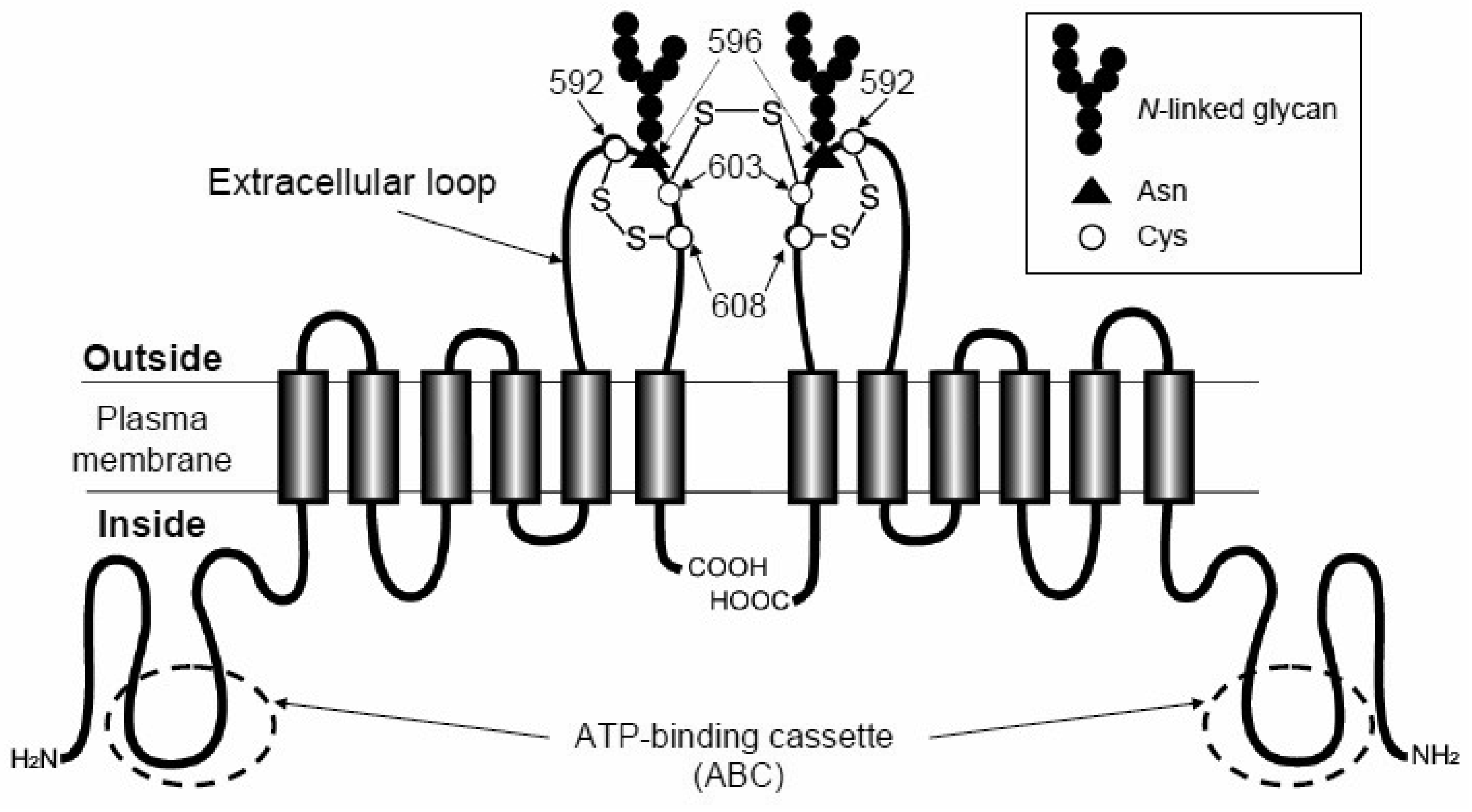 Pharmaceutics 03 00615f4 1024