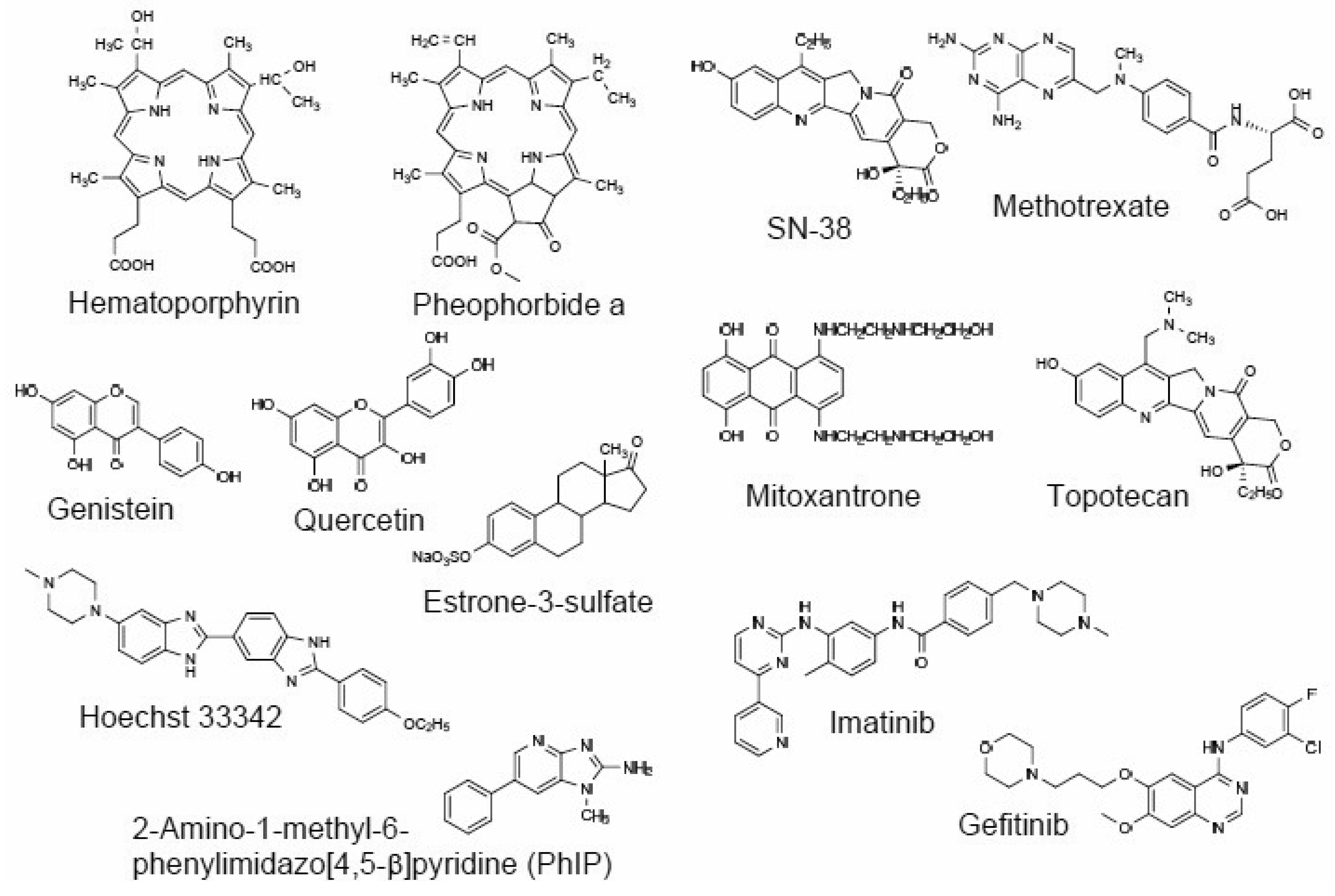 Pharmaceutics 03 00615f5 1024