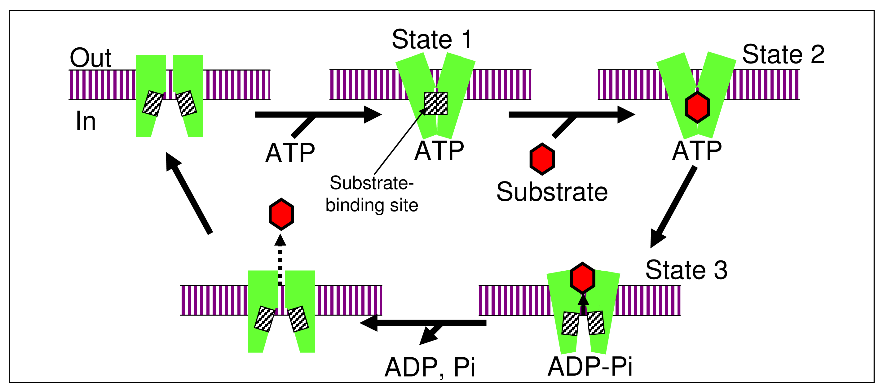Pharmaceutics 03 00615f6 1024