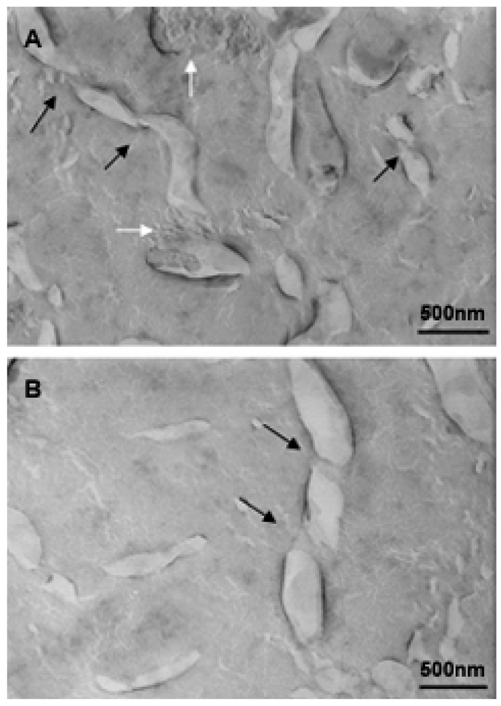 Pharmaceutics 03 00636f16 1024