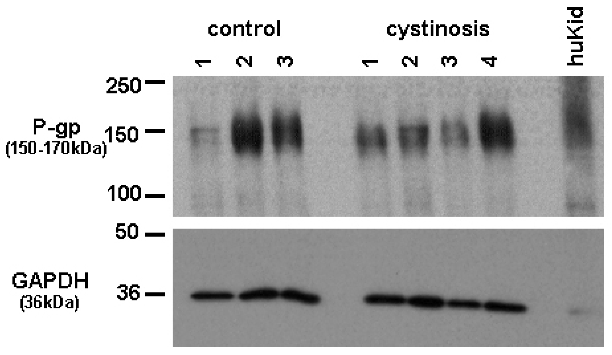 Pharmaceutics 03 00782f1 1024