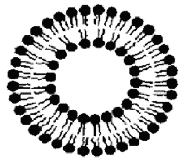 Pharmaceutics 03 00793f10 1024