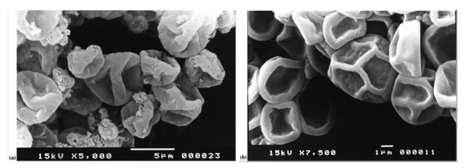 Pharmaceutics 03 00793f13 1024