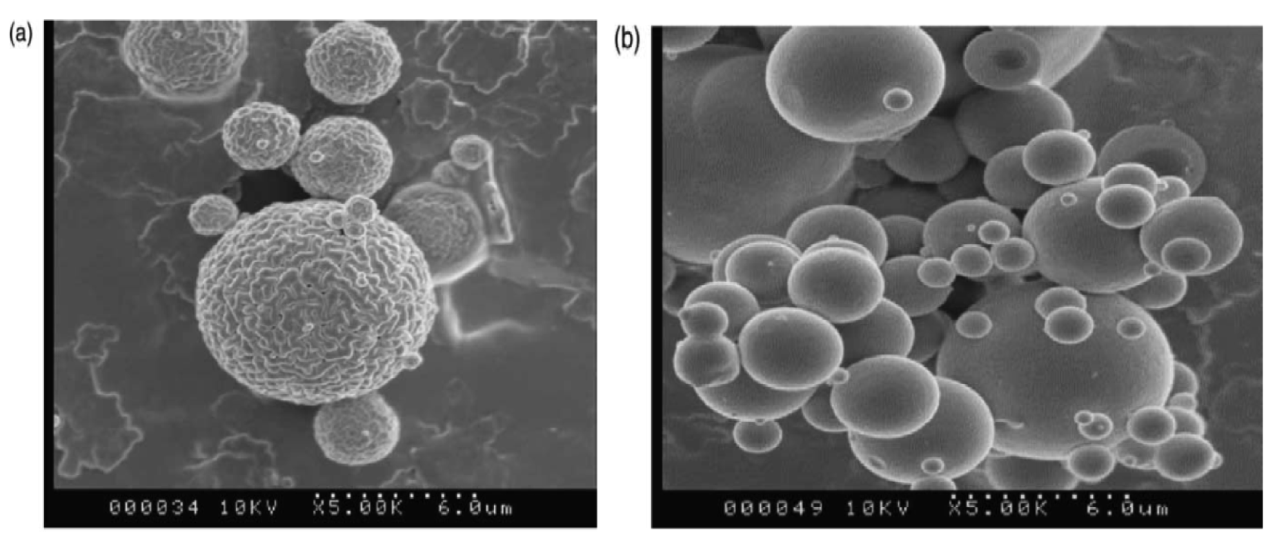 Pharmaceutics 03 00793f2 1024