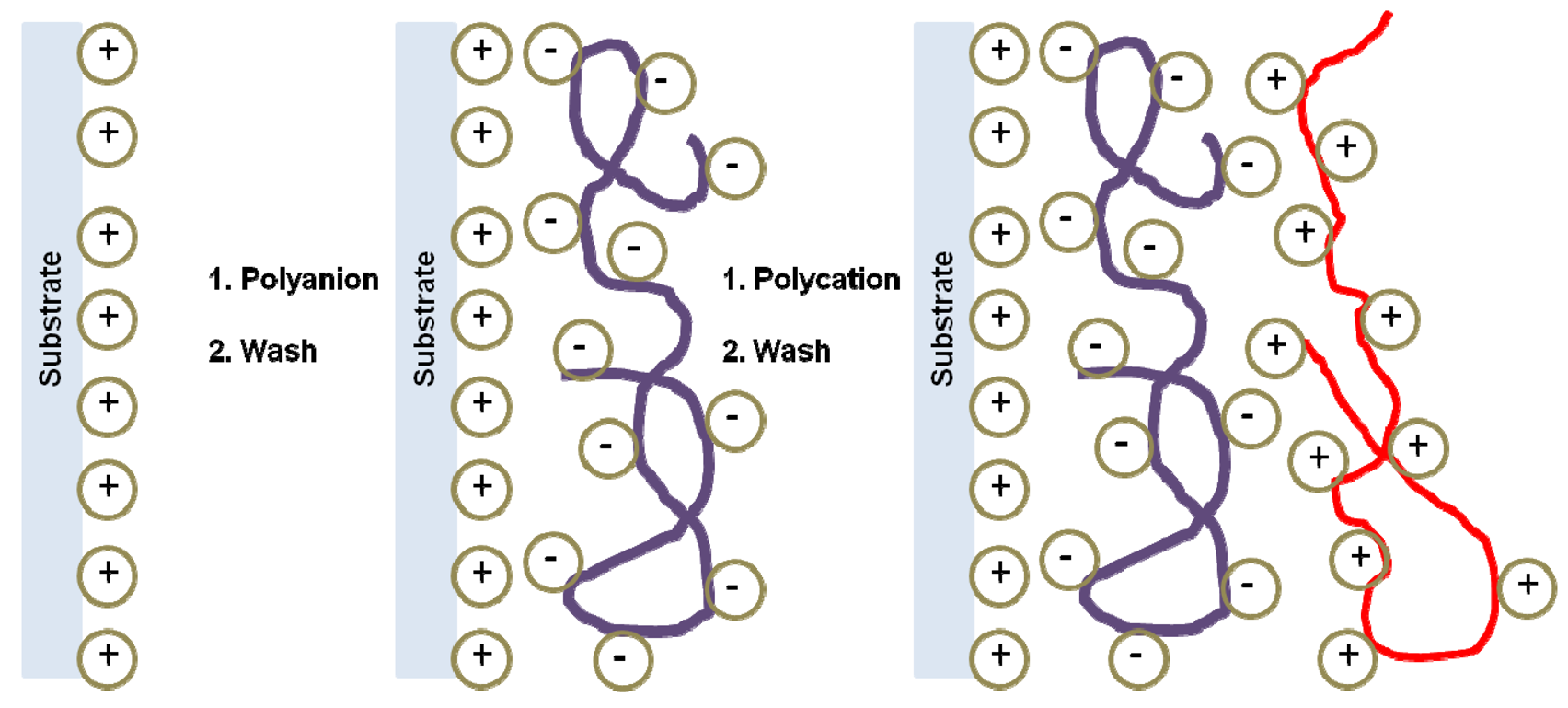 Pharmaceutics 03 00793f8 1024