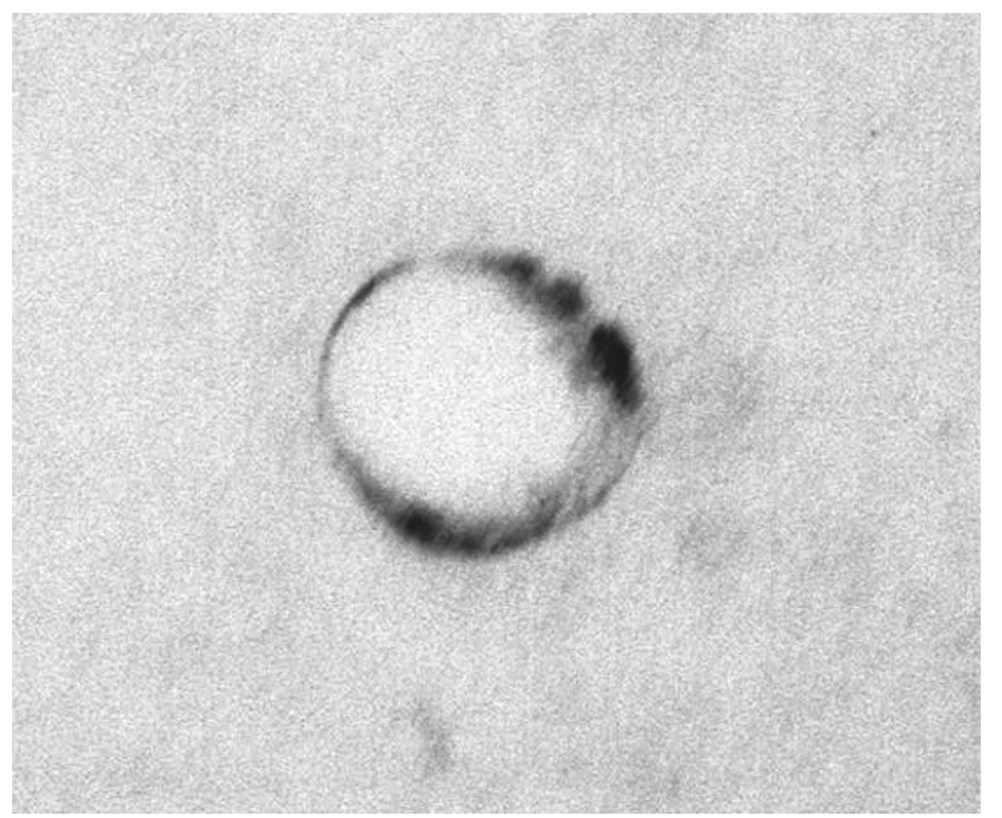 Pharmaceutics 03 00954f2 1024