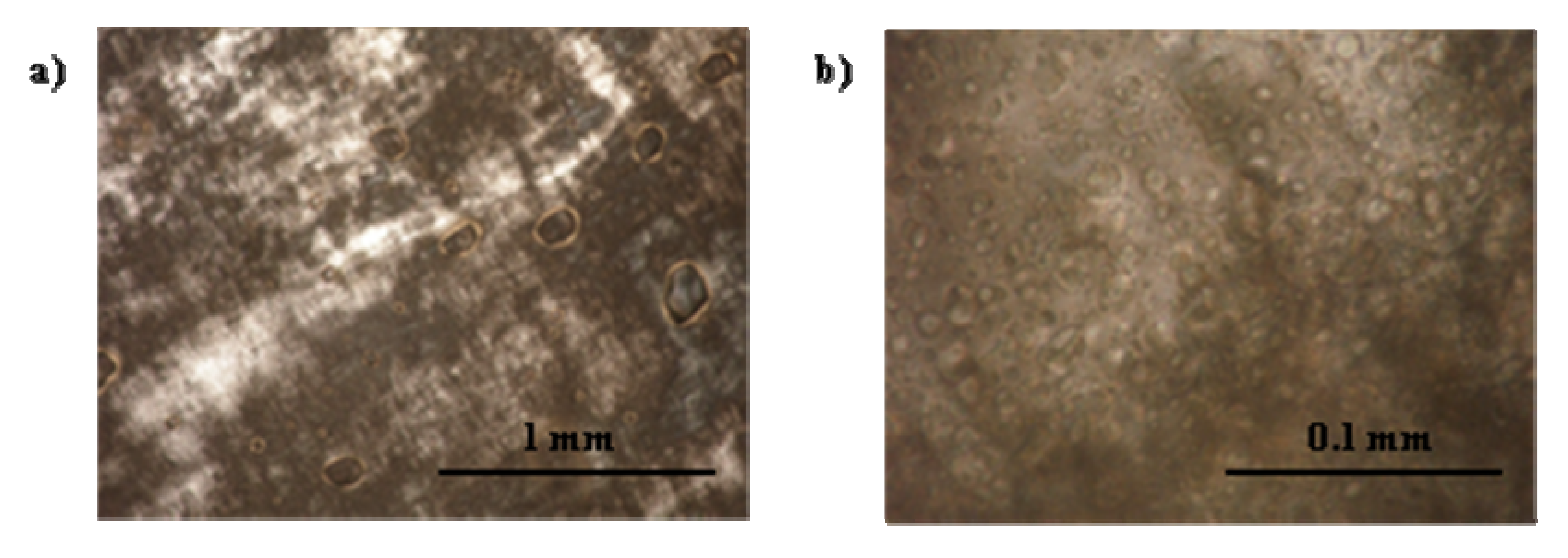 Pharmaceutics 04 00104 g009