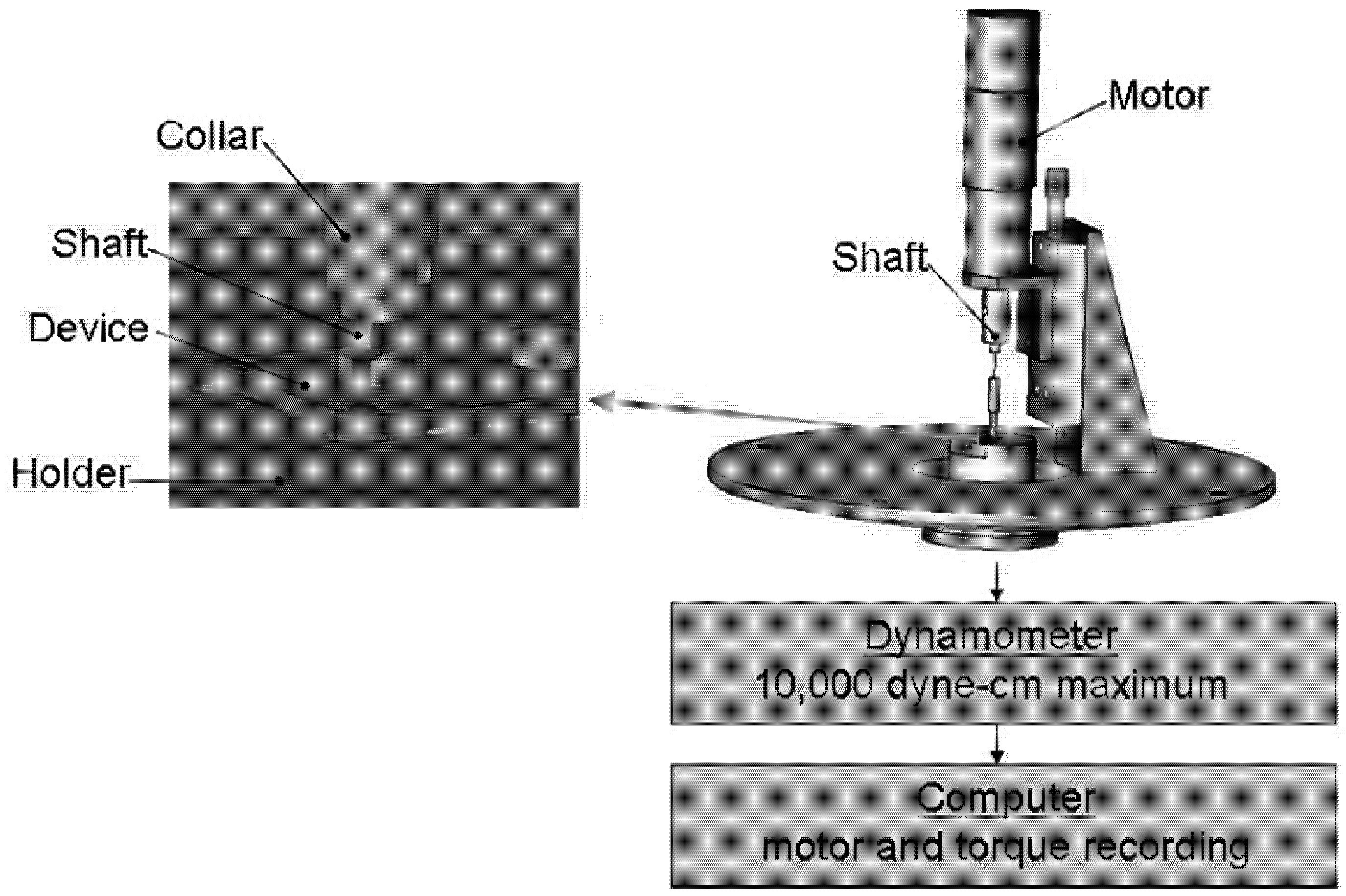 Pharmaceutics 04 00212 g002 1024