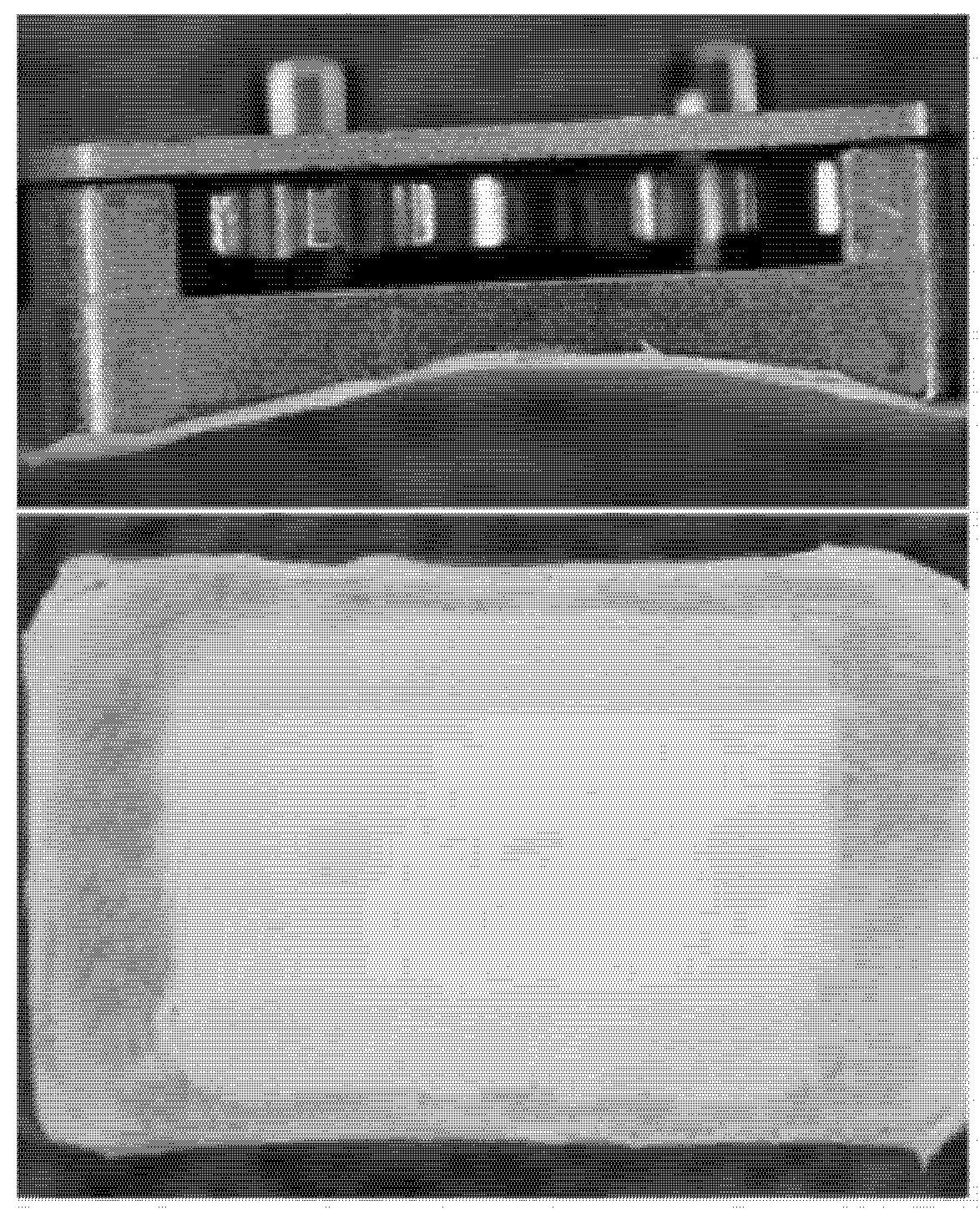 Pharmaceutics 04 00212 g005 1024