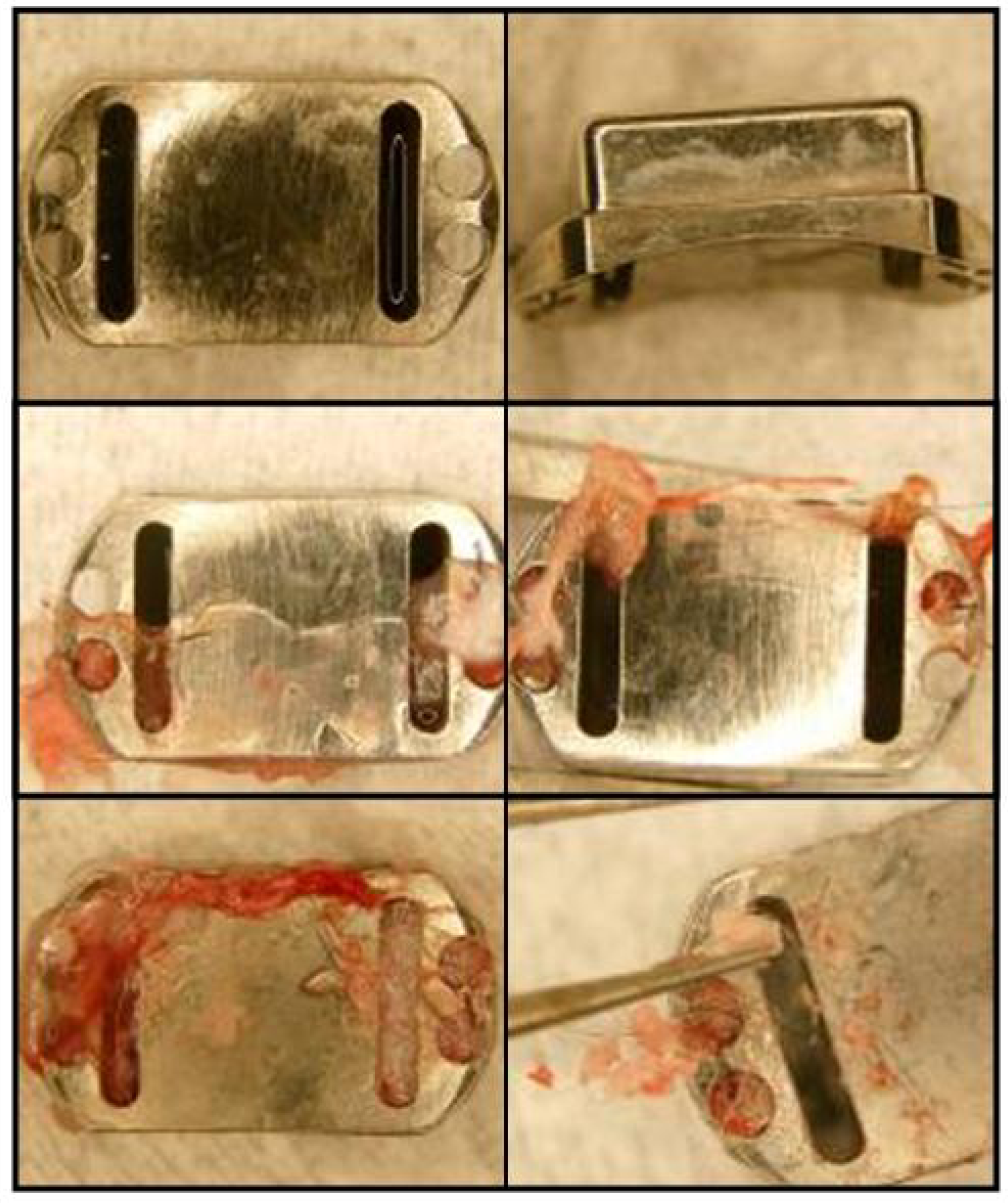 Pharmaceutics 04 00212 g010 1024