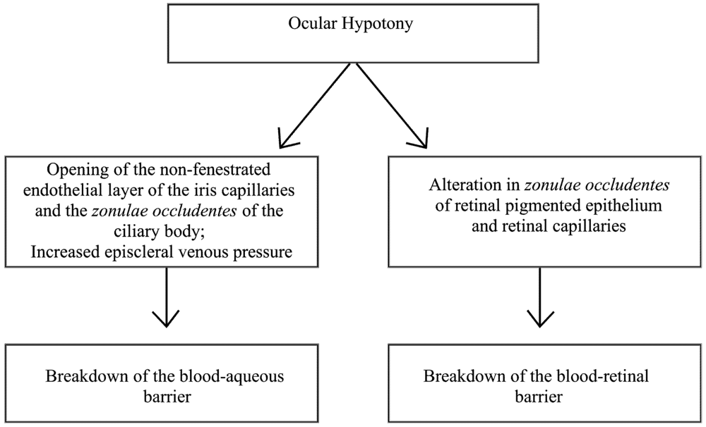 Pharmaceutics 04 00252 g004