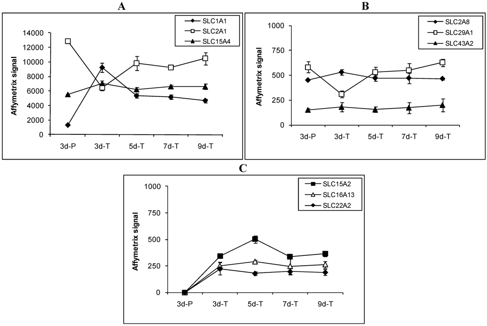 Expression Profile of Drug and Nutrient Absorption Related Genes in ...