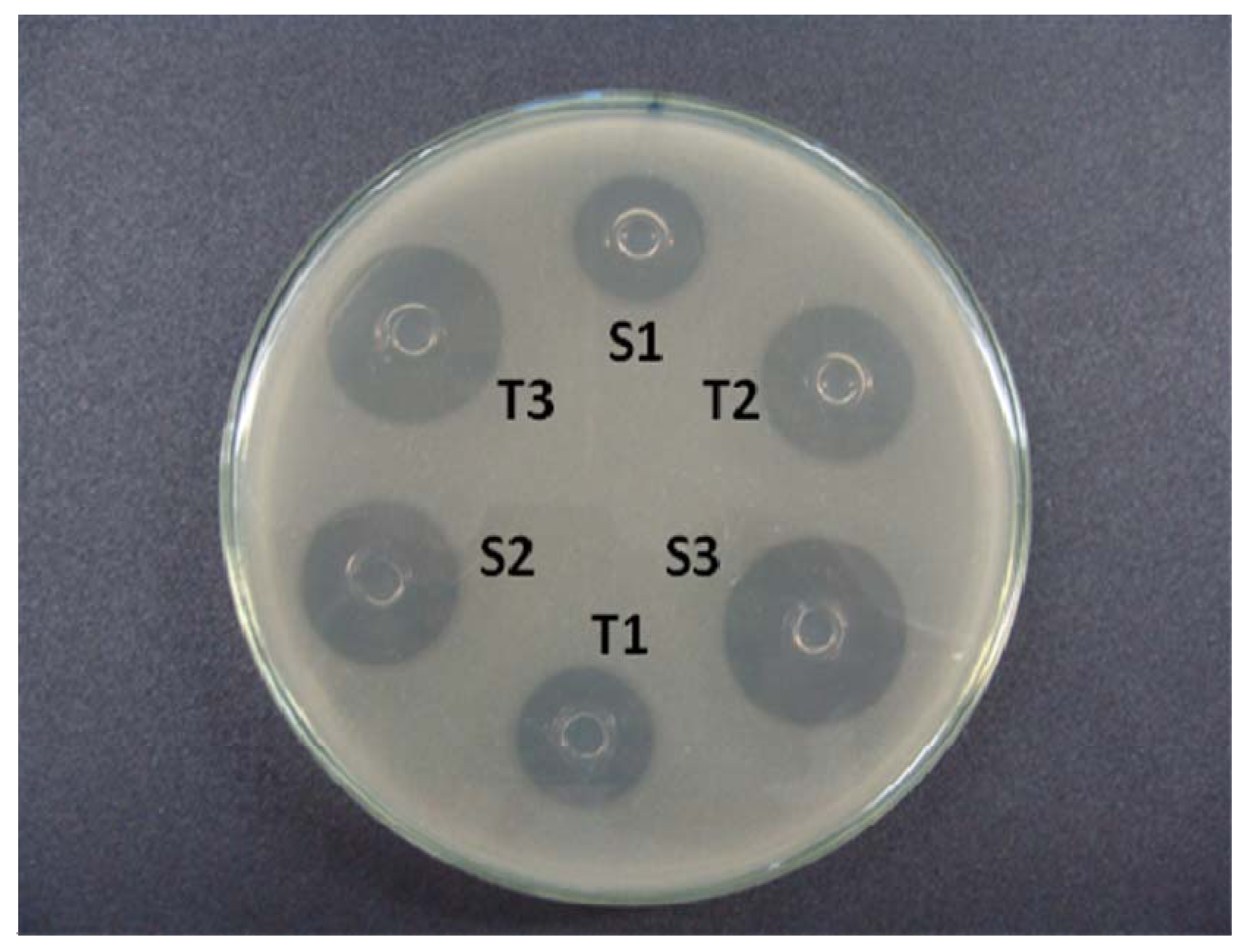 Pharmaceutics 04 00334 g002