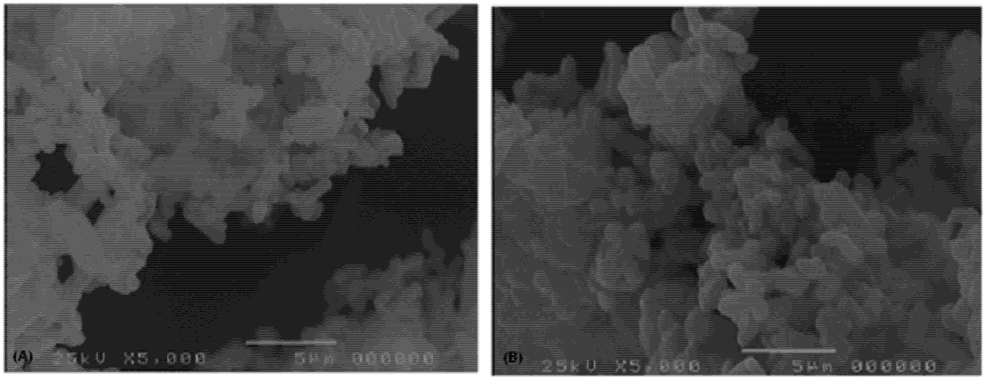 Pharmaceutics 04 00430 g001 1024