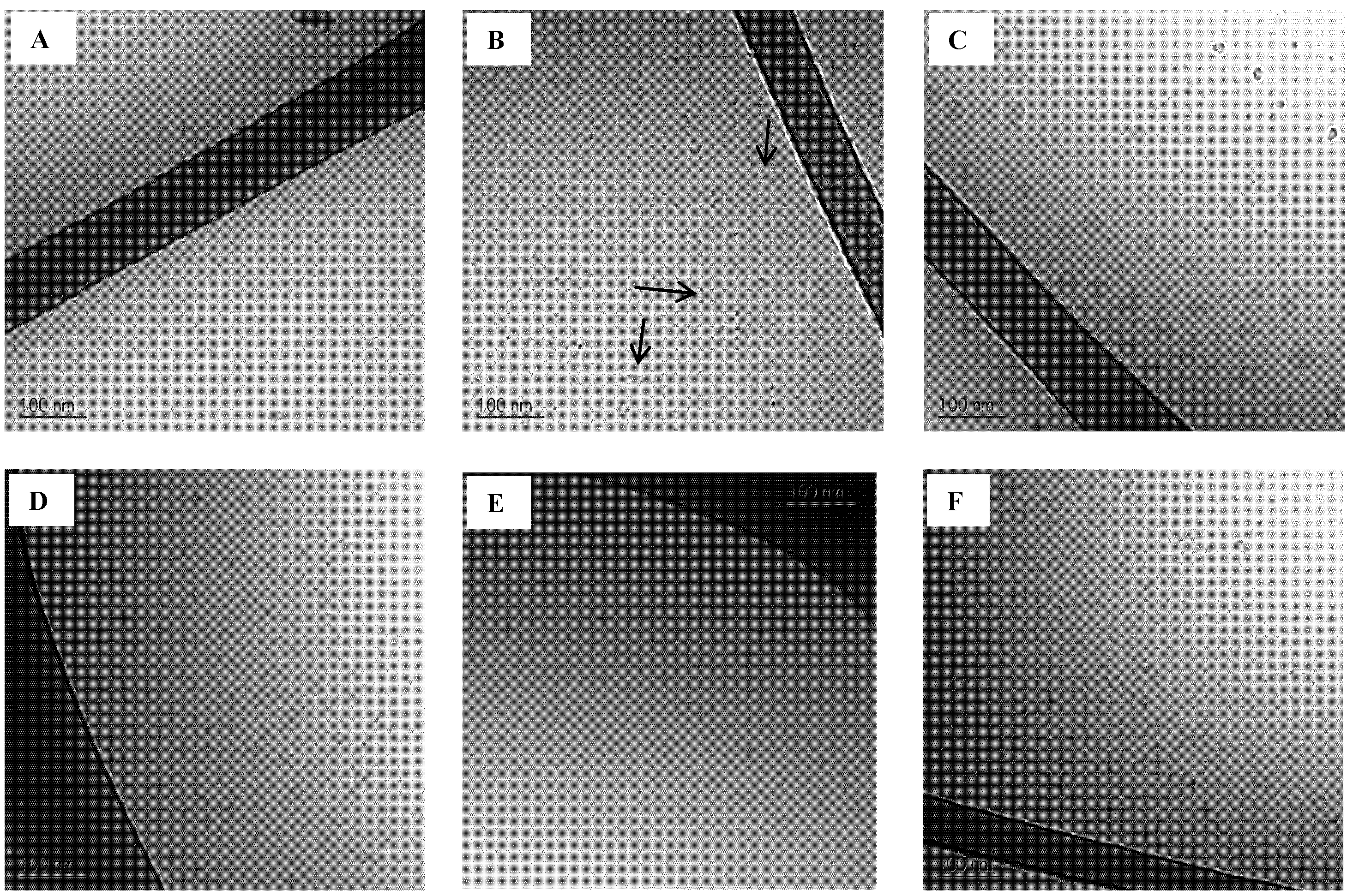 Pharmaceutics 04 00641 g006 1024