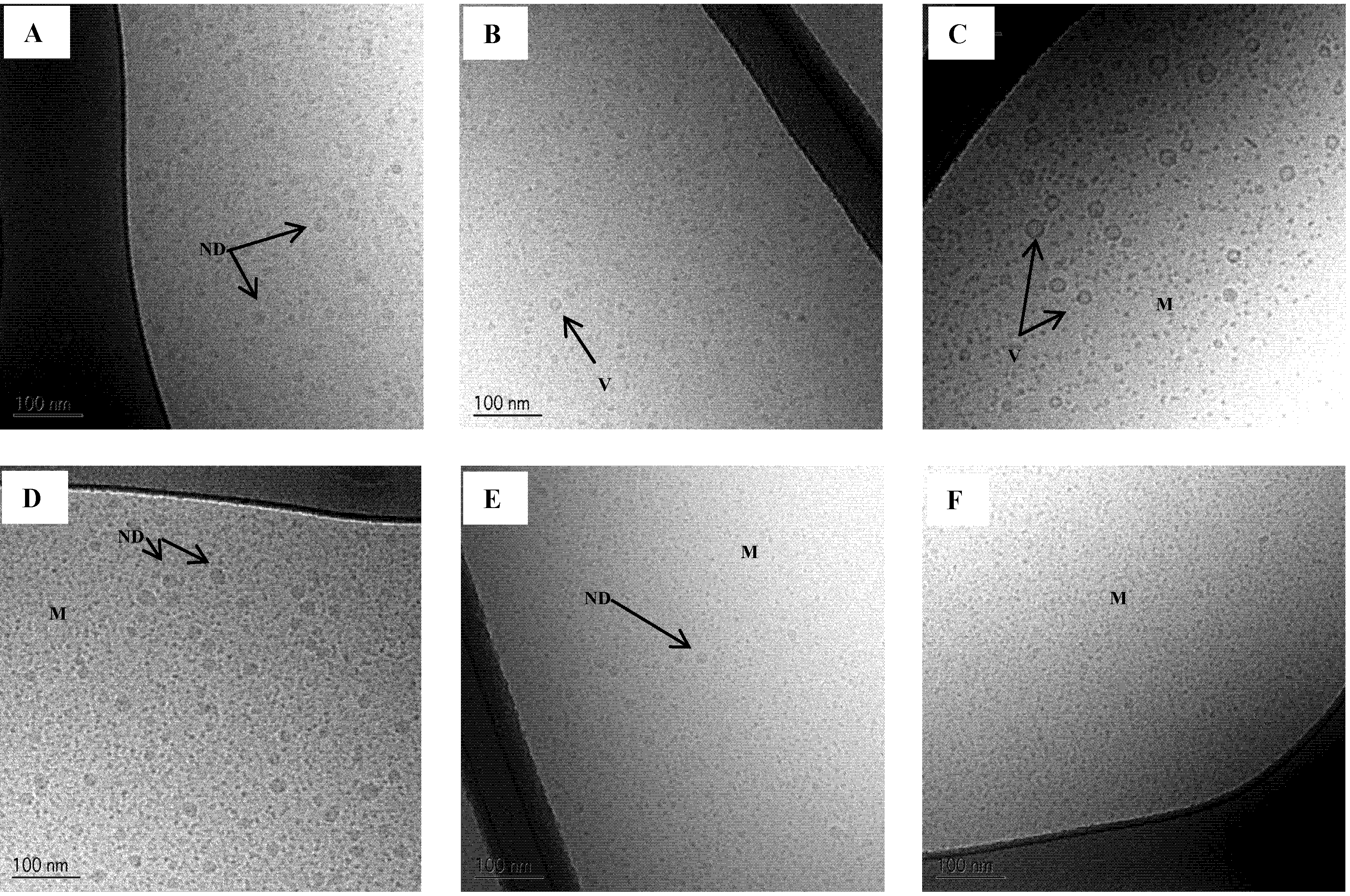 Pharmaceutics 04 00641 g007 1024