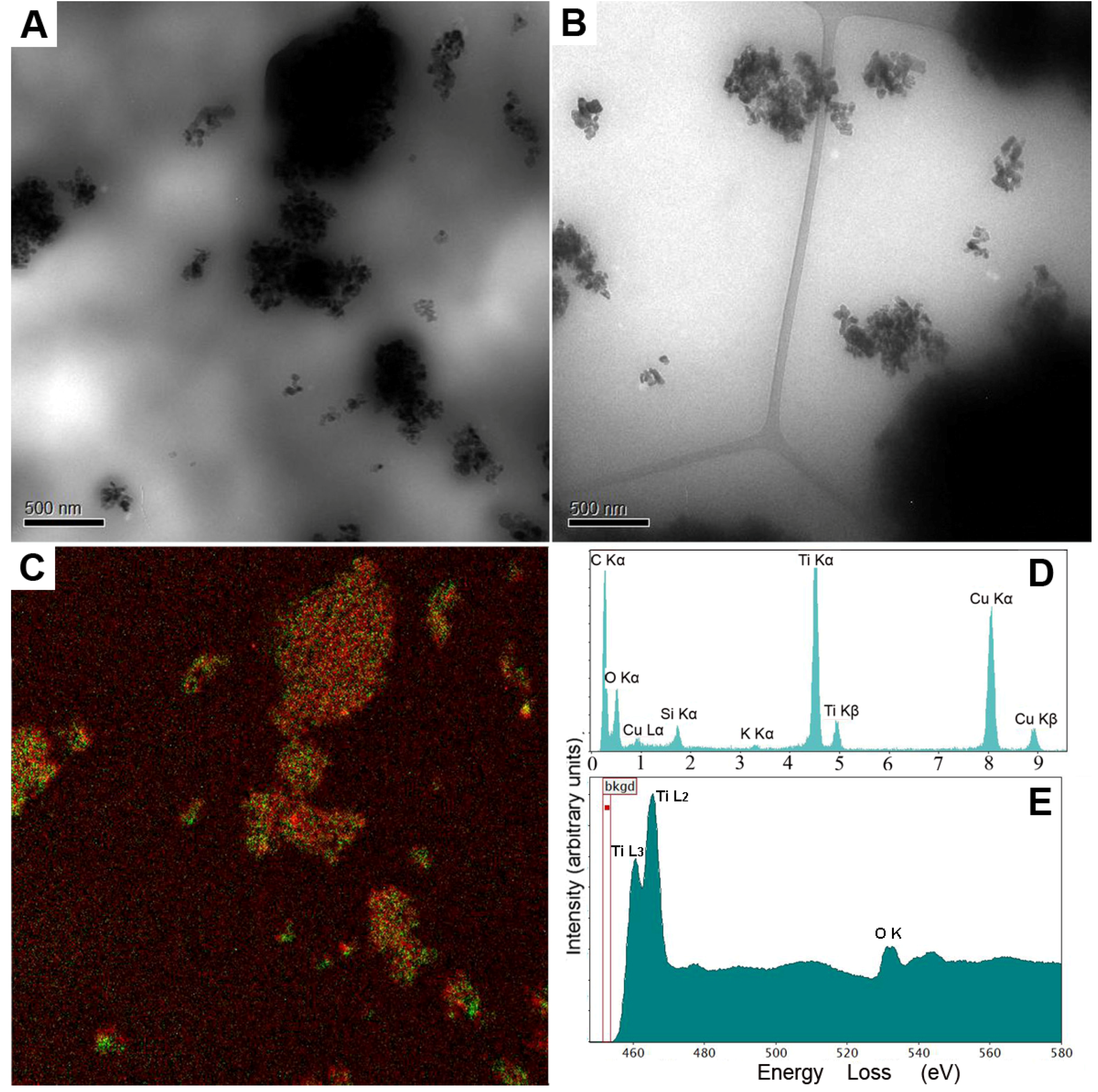 Pharmaceutics 05 00115 g001 1024