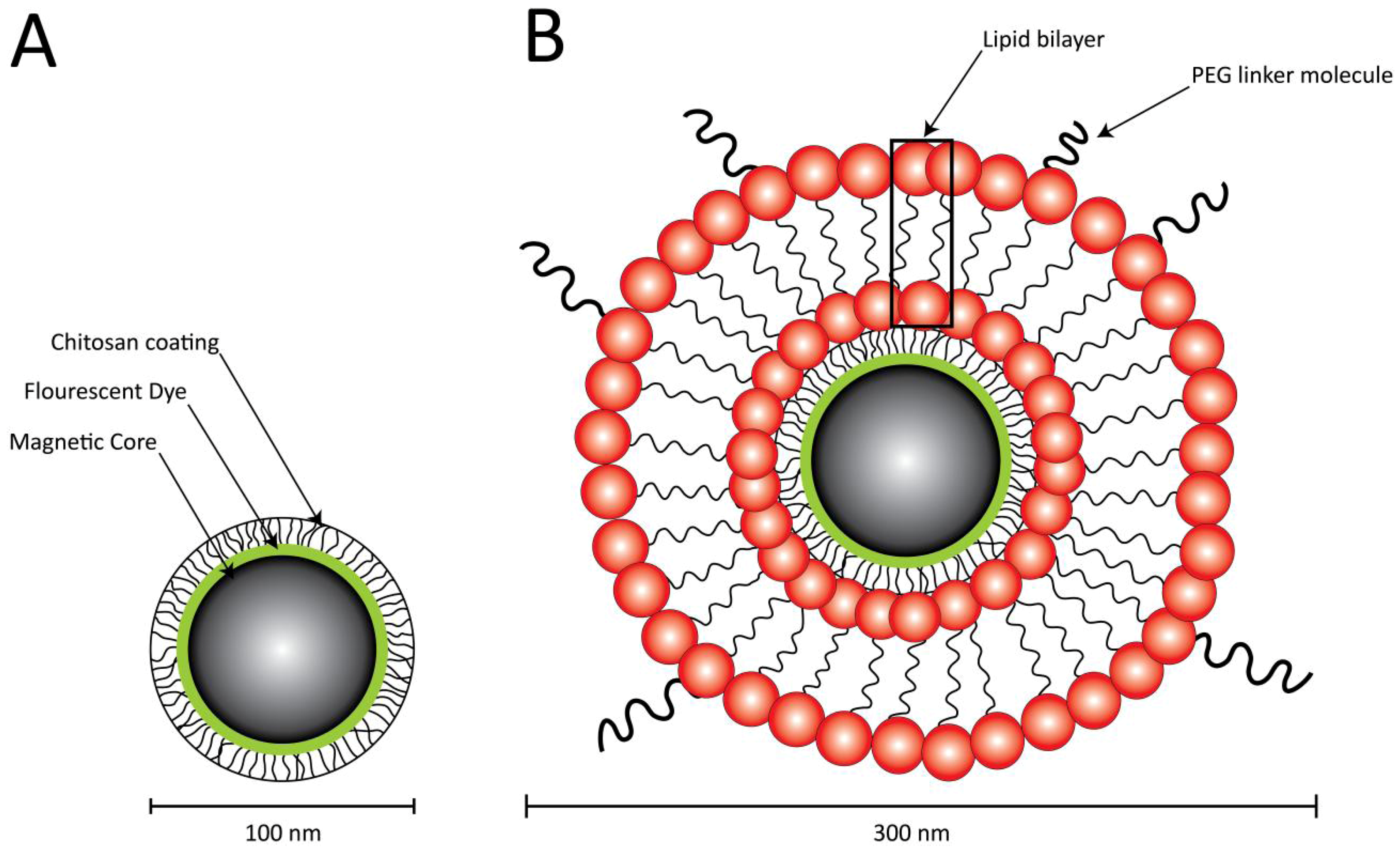 Pharmaceutics 05 00246 g001 1024