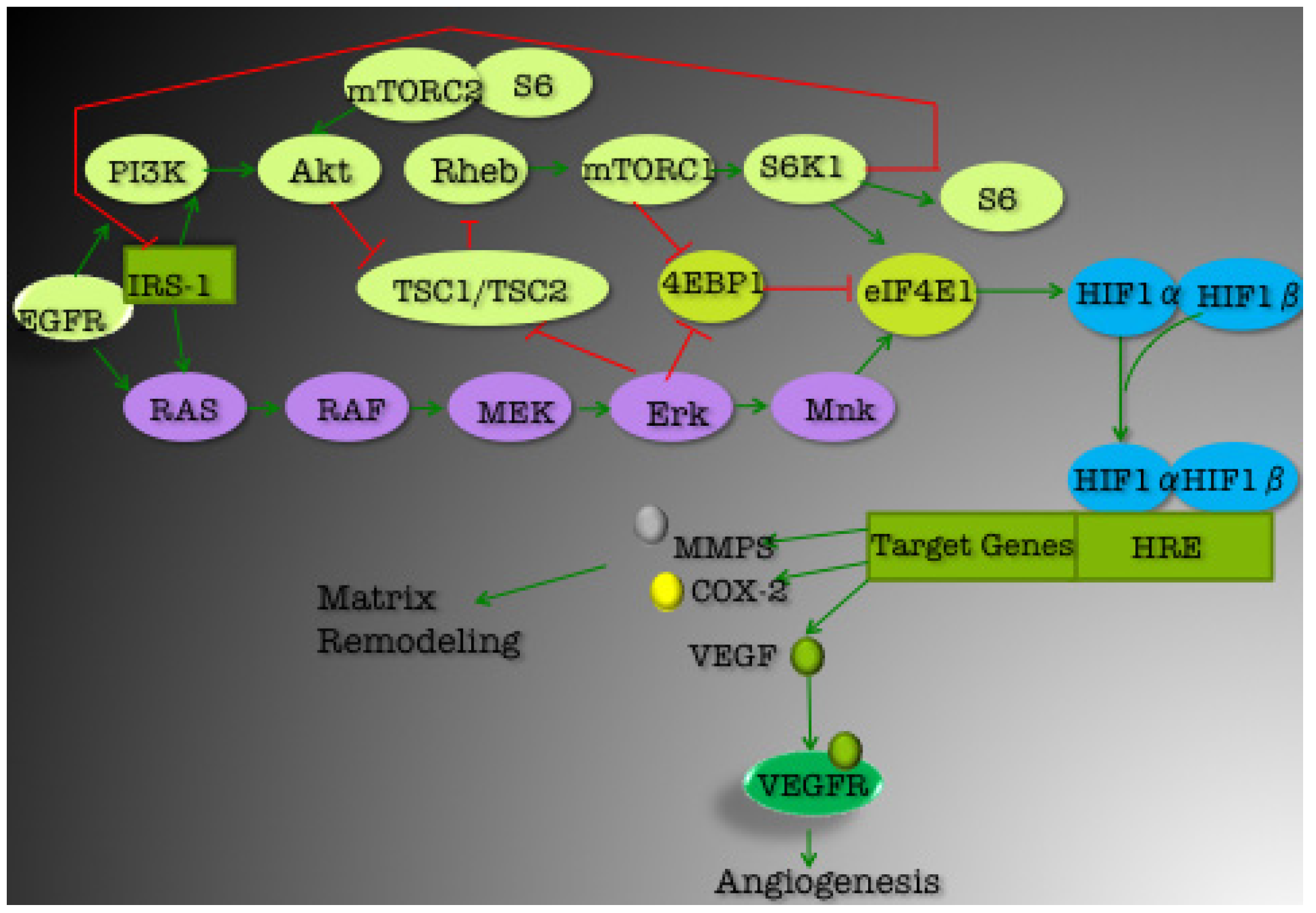 Pharmaceutics 05 00353 g002