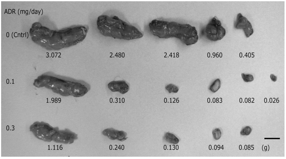 Pharmaceutics 05 00385 g001 1024
