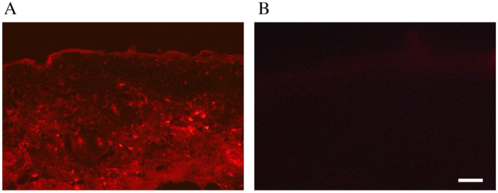 Pharmaceutics 05 00385 g003 1024