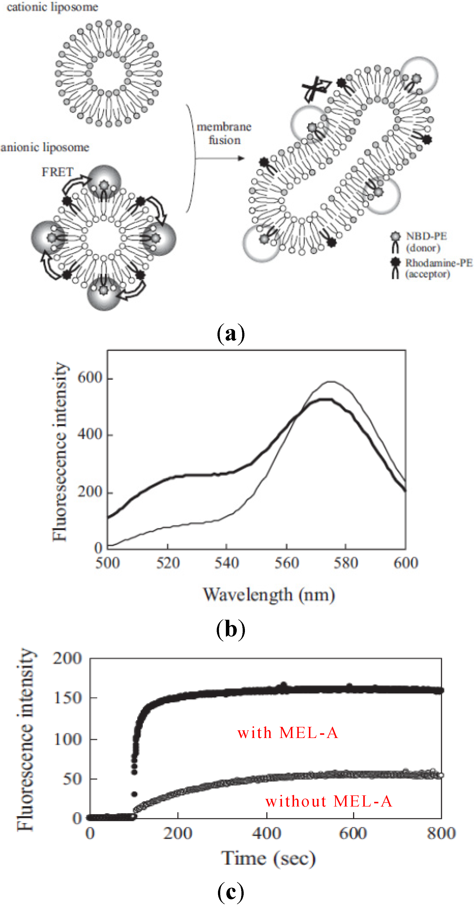 Pharmaceutics 05 00411 g005 1024