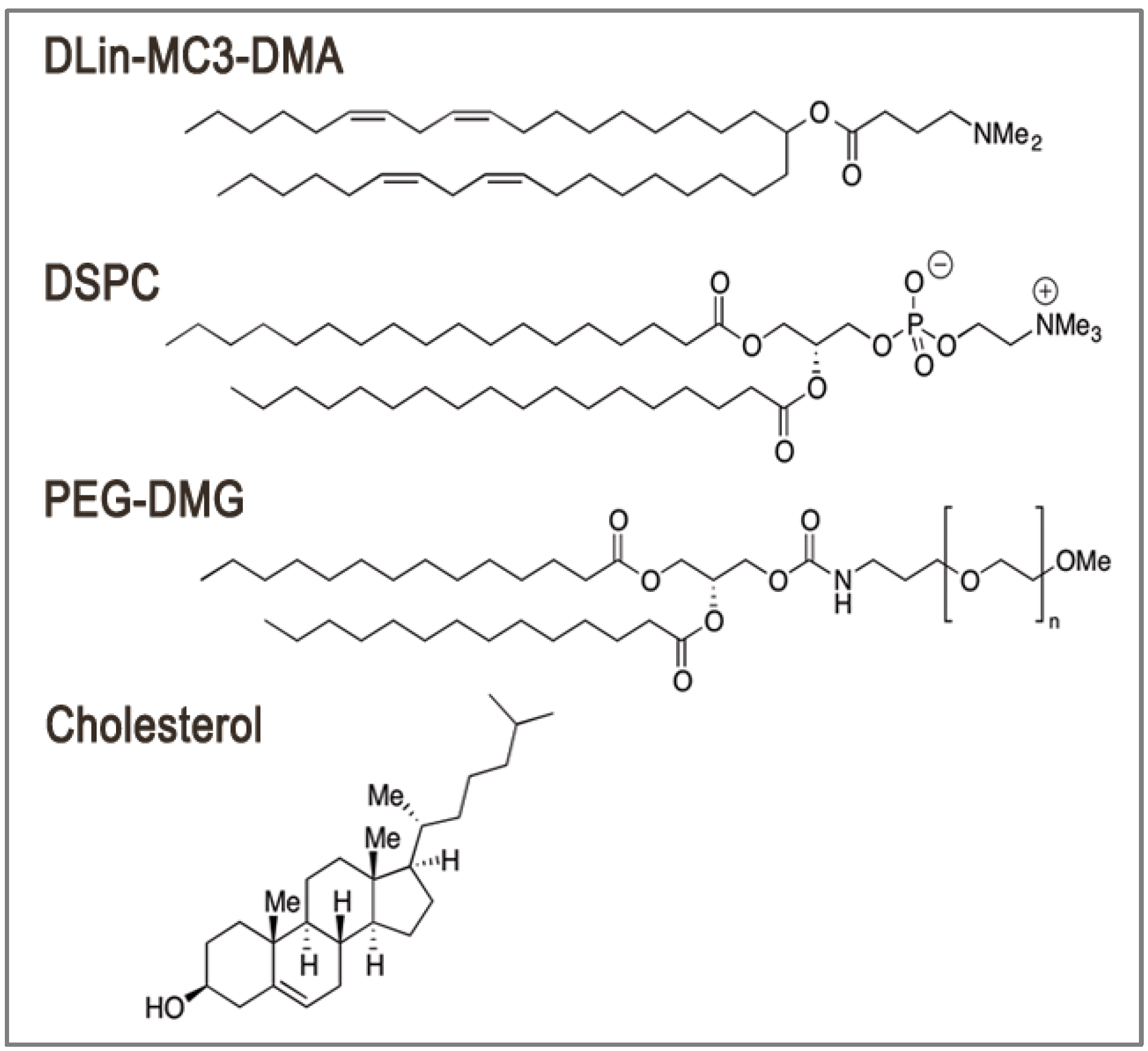 Pharmaceutics 05 00498 g001