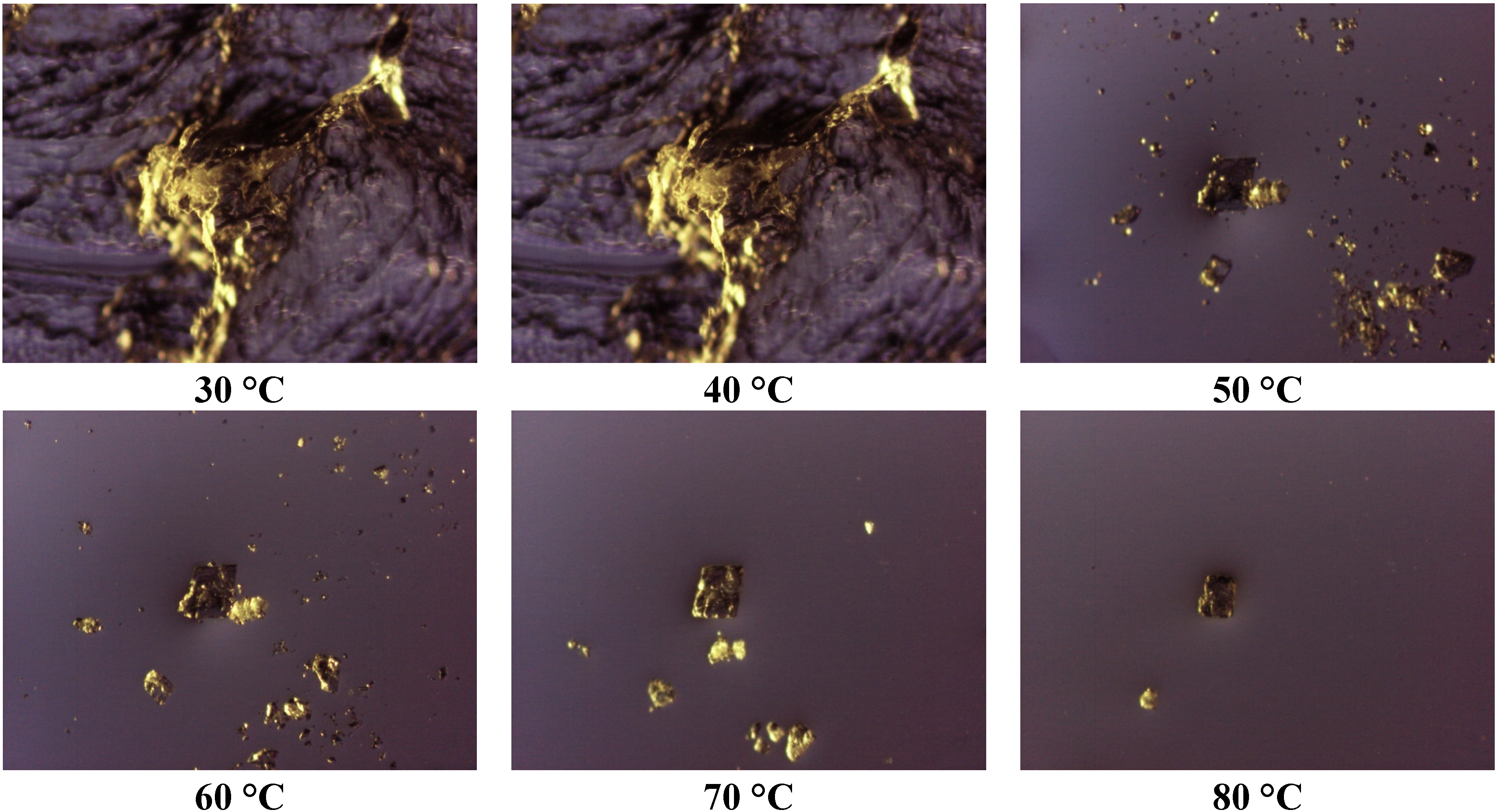 Pharmaceutics 05 00570 g005 1024