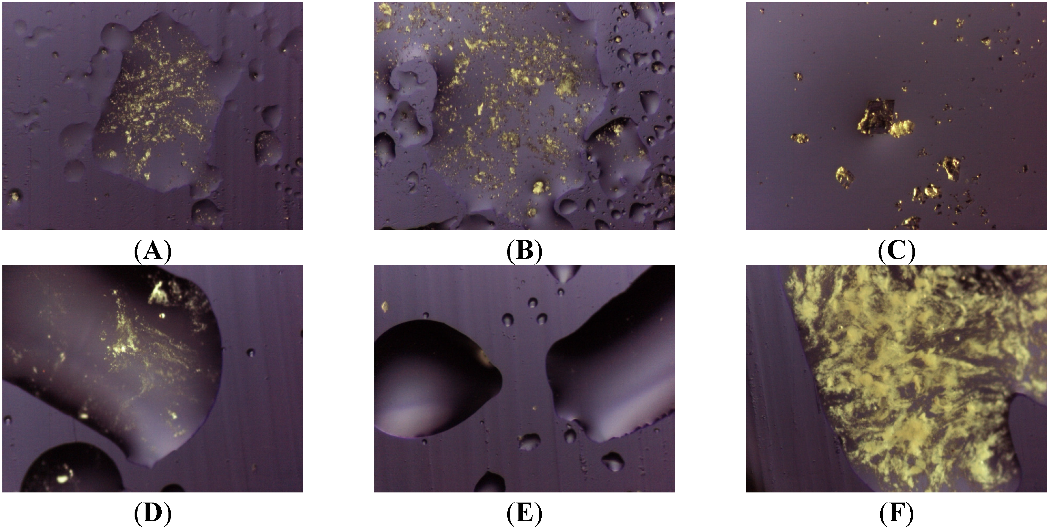 Pharmaceutics 05 00570 g006 1024