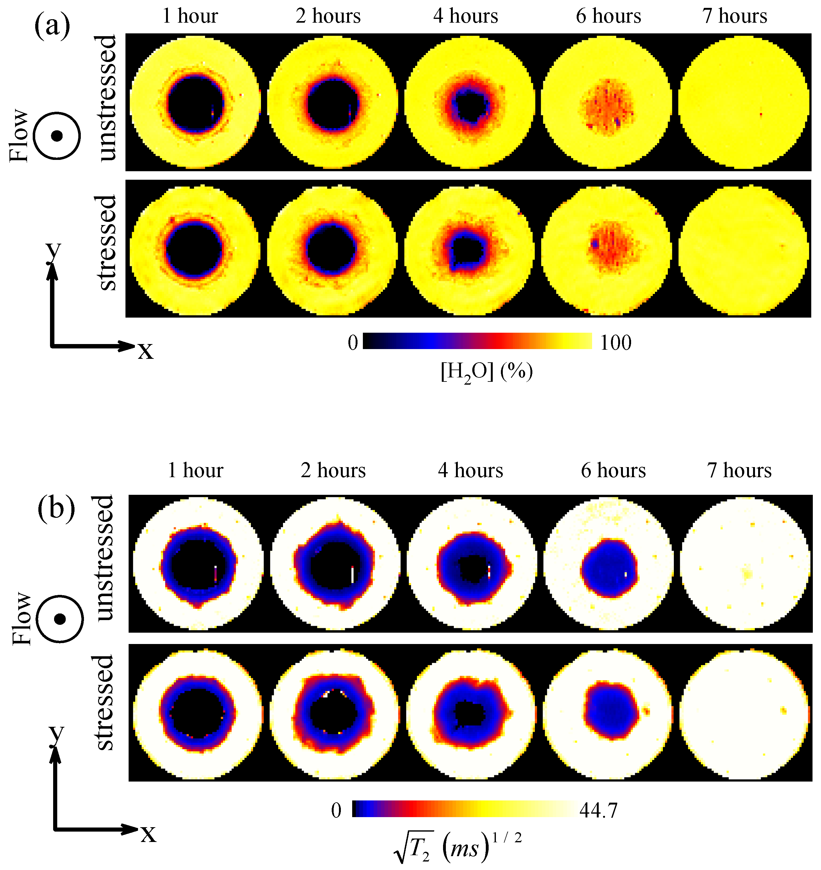 Pharmaceutics 05 00591 g008