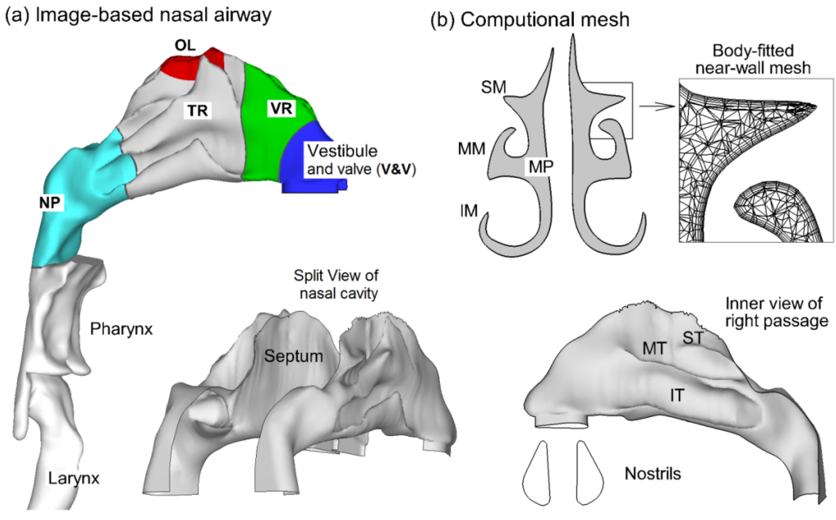 Pharmaceutics 06 00026 g001