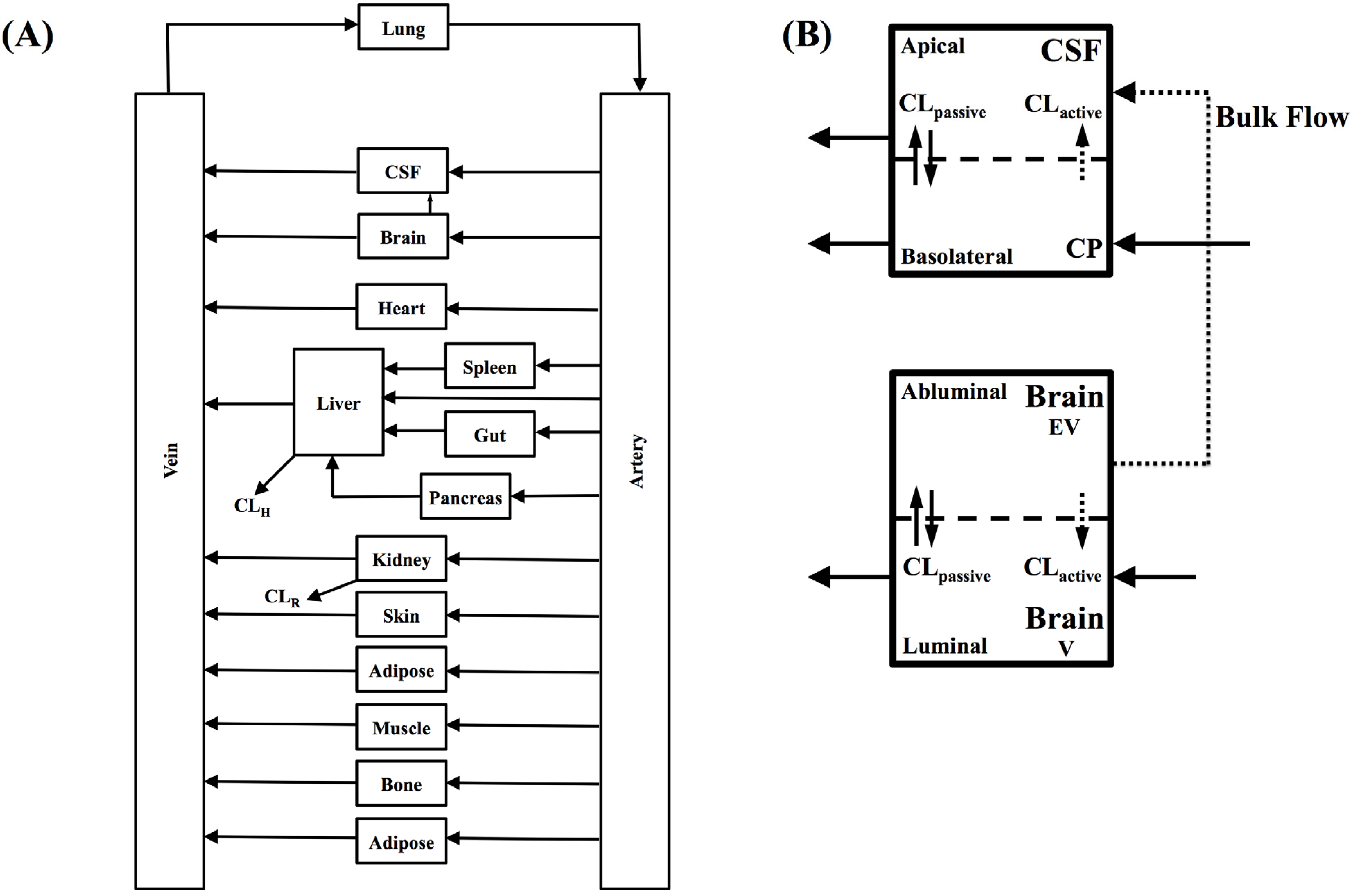 Pharmaceutics 06 00097 g001 1024
