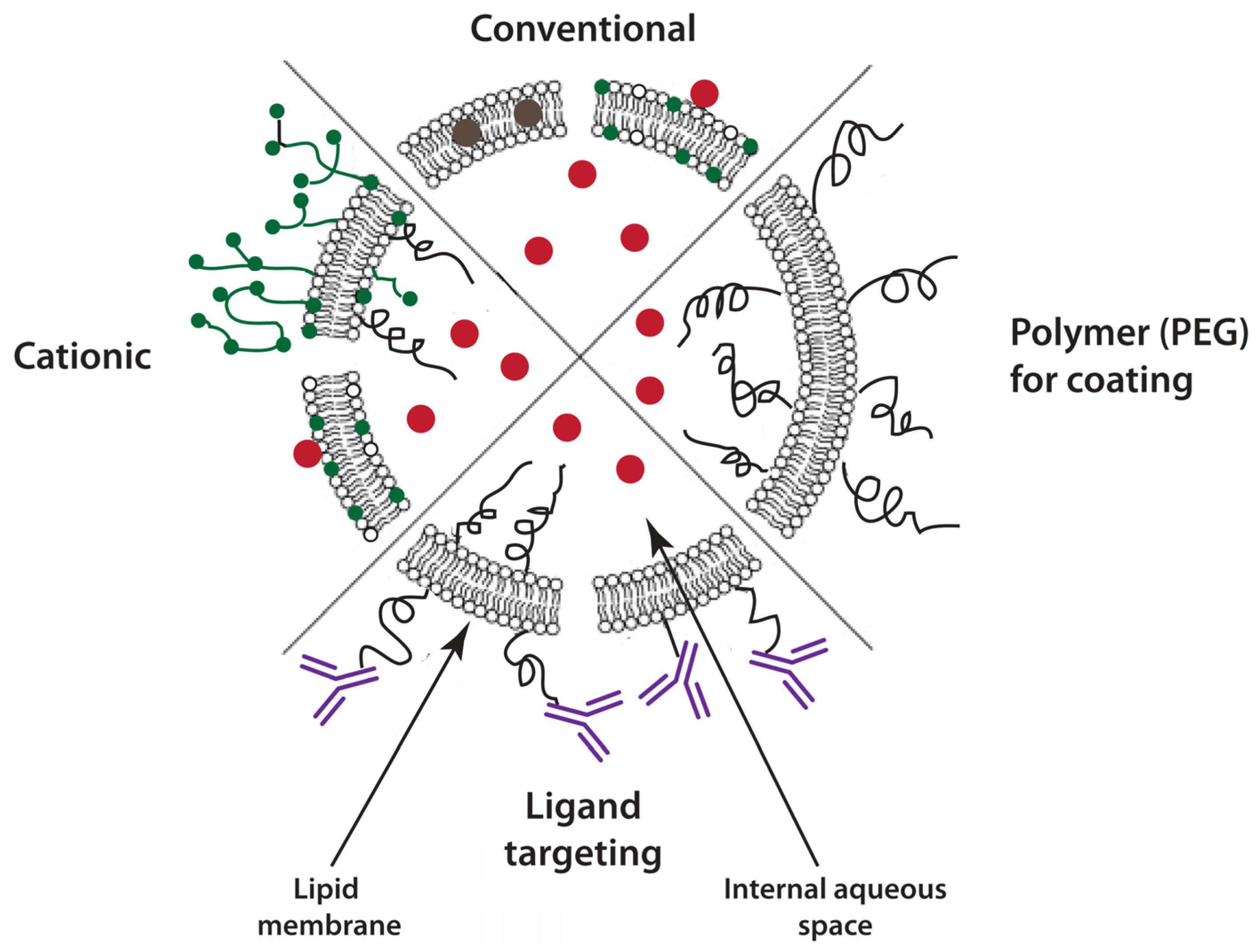 Pharmaceutics 06 00137 g001