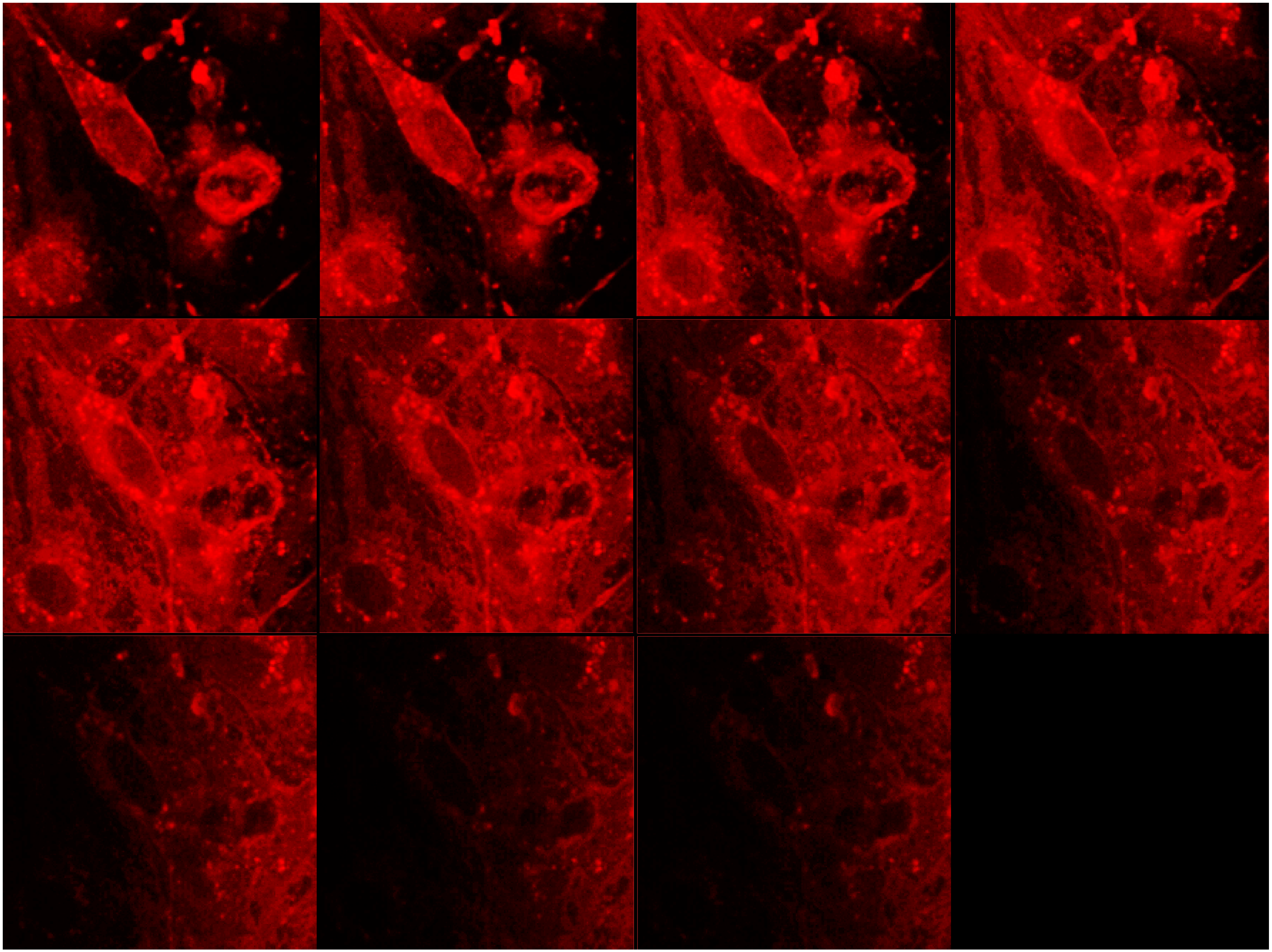 Pharmaceutics 07 00027 g004 1024