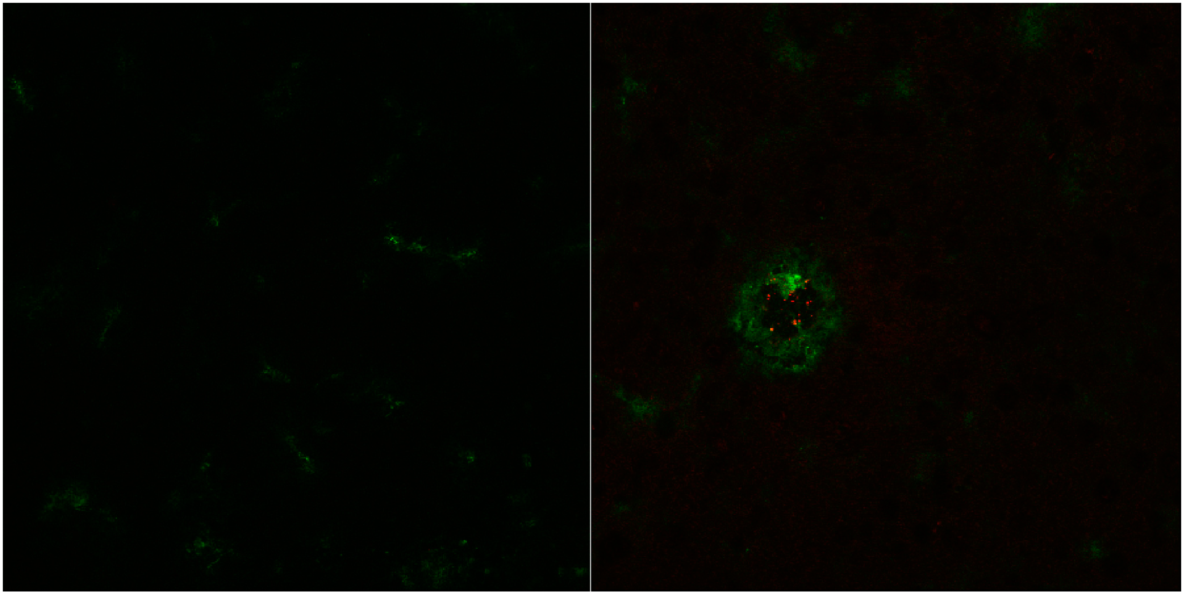 Pharmaceutics 07 00027 g005 1024